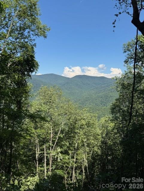 Lot at 5379 Preserve Road, Sylva, photo 2 of 7