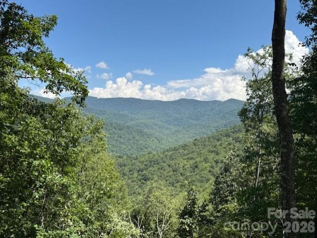 Lot at 5379 Preserve Road, Sylva, photo 6 of 7