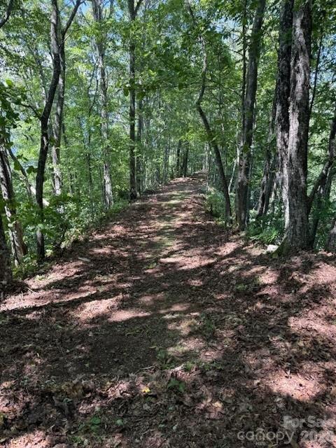 Lot at 5379 Preserve Road, Sylva, photo 7 of 7