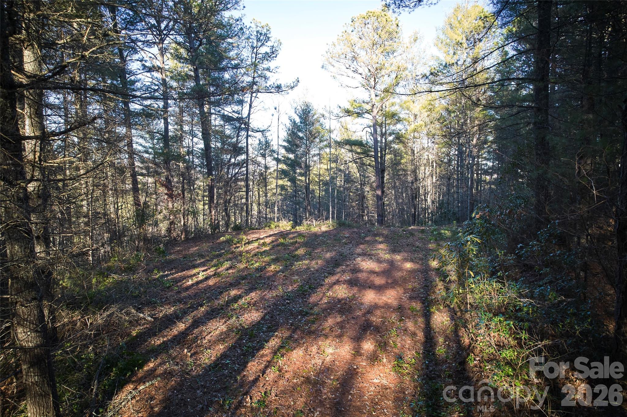 Lot at 00 Piney Cove Road, Bryson City, photo 3 of 4