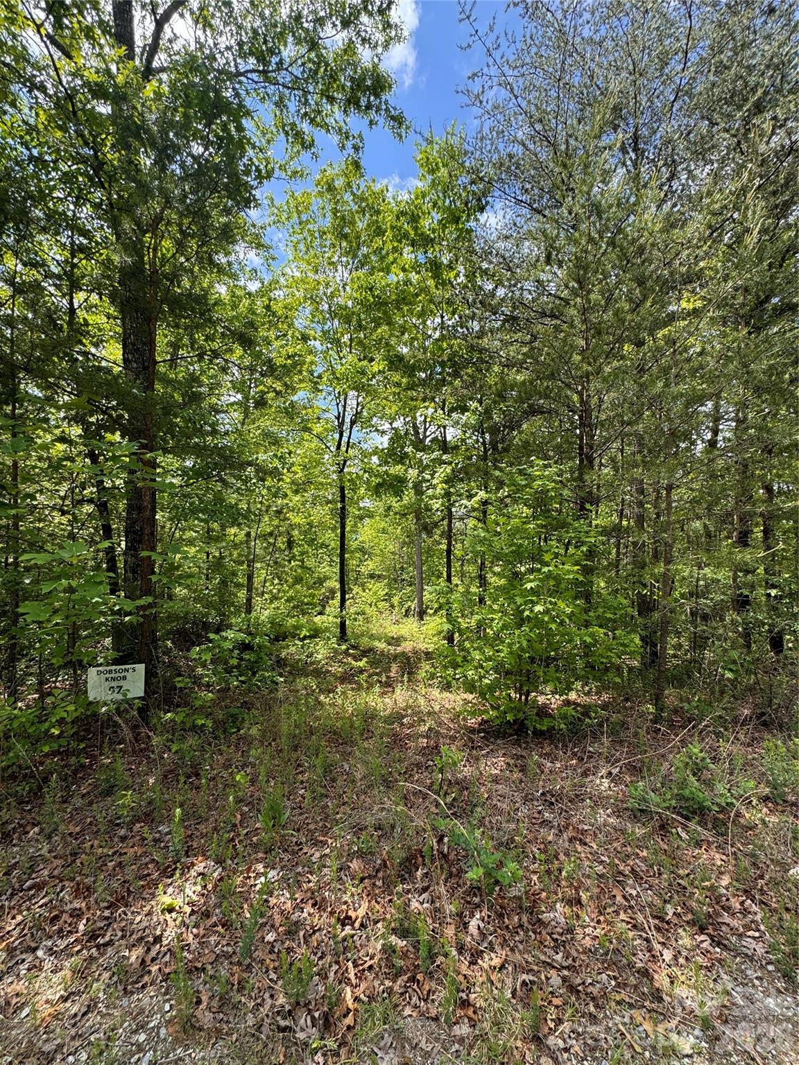 Lot at 34 Montgomery Drive, Marion, photo 2 of 8