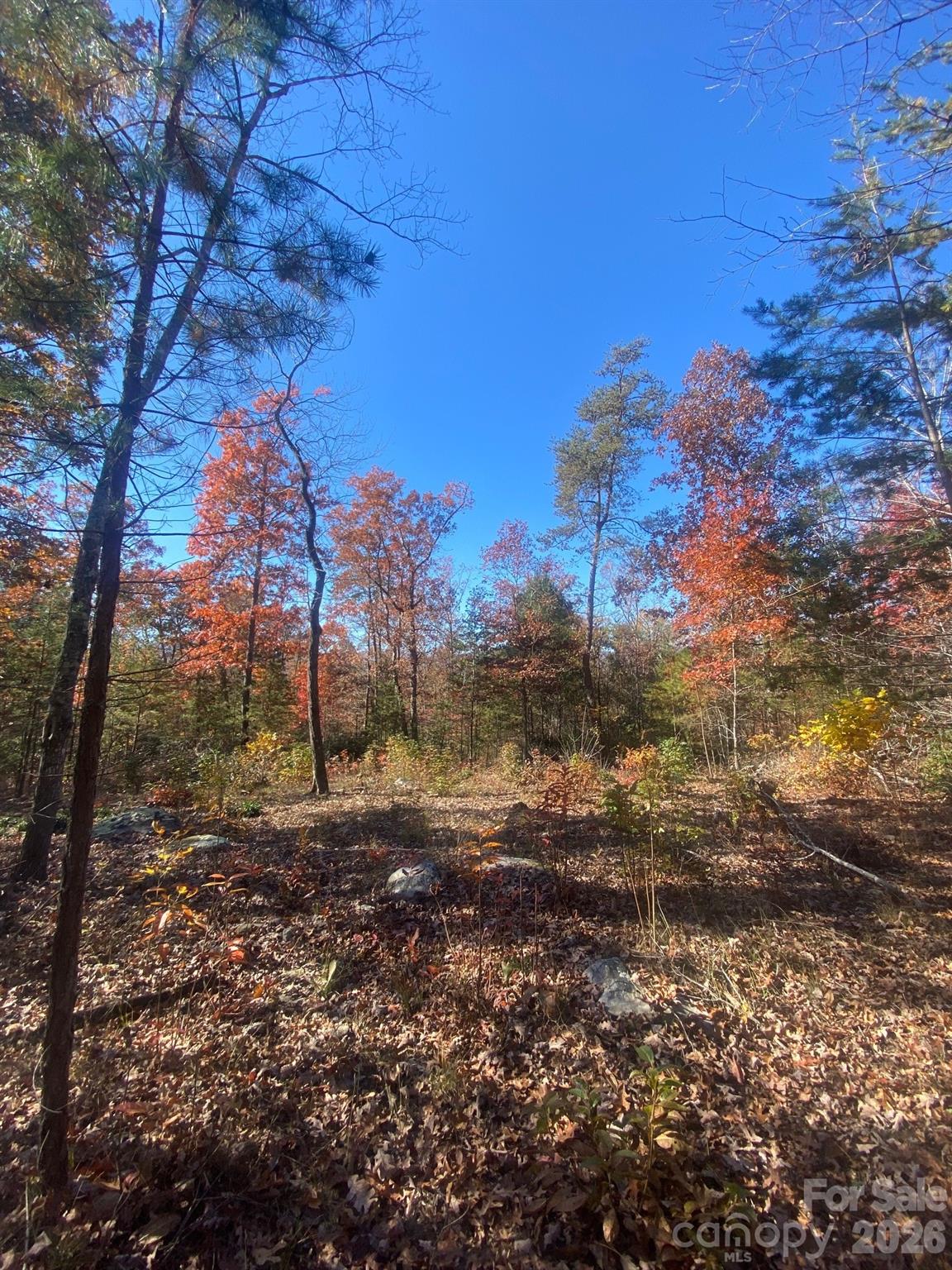Lot at 34 Montgomery Drive, Marion, photo 6 of 8