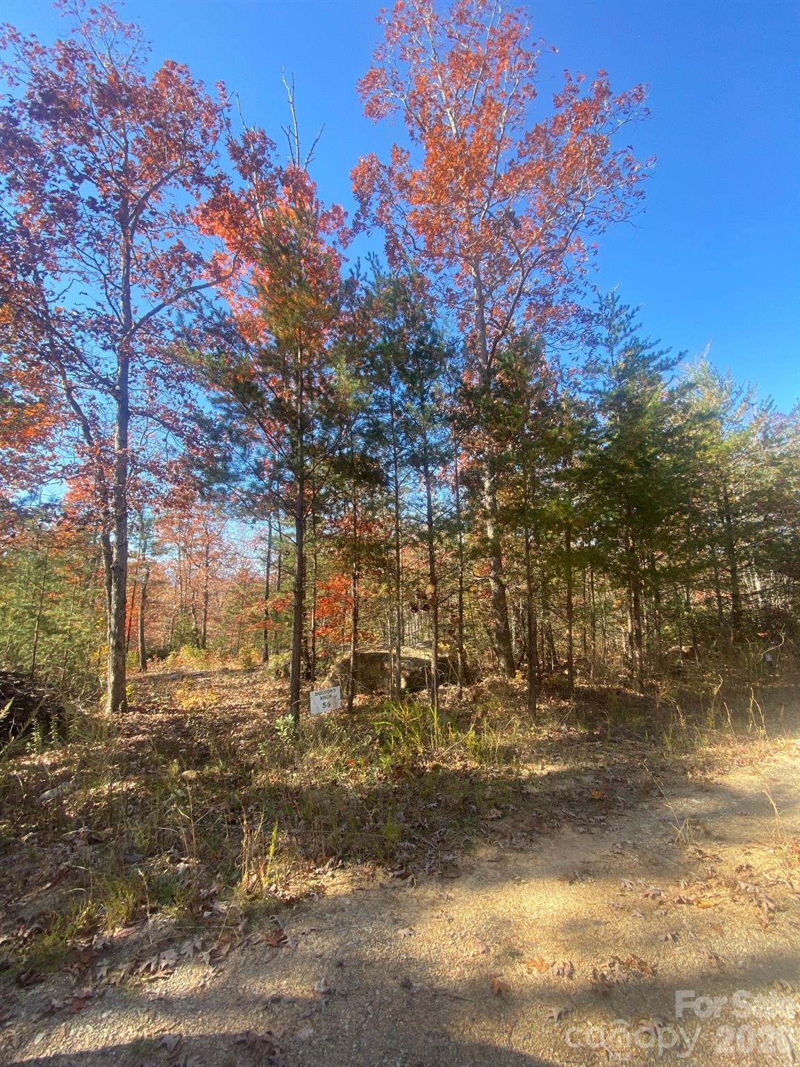 Lot at 34 Montgomery Drive, Marion, photo 7 of 8