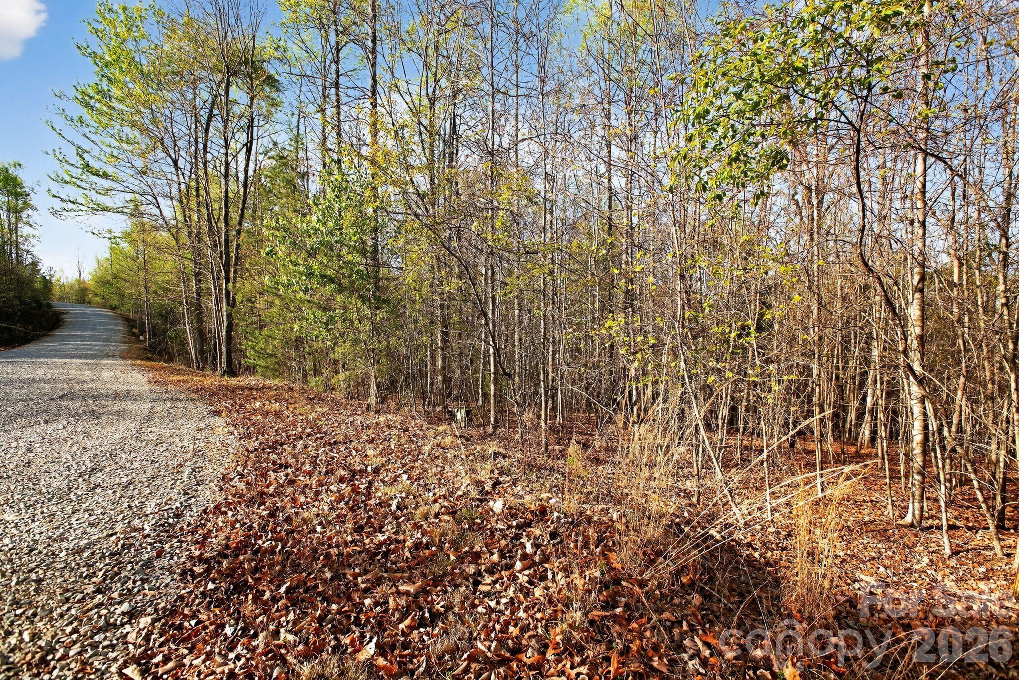 Lot at Lot 62 Dirksen Avenue, Nebo, photo 2 of 37