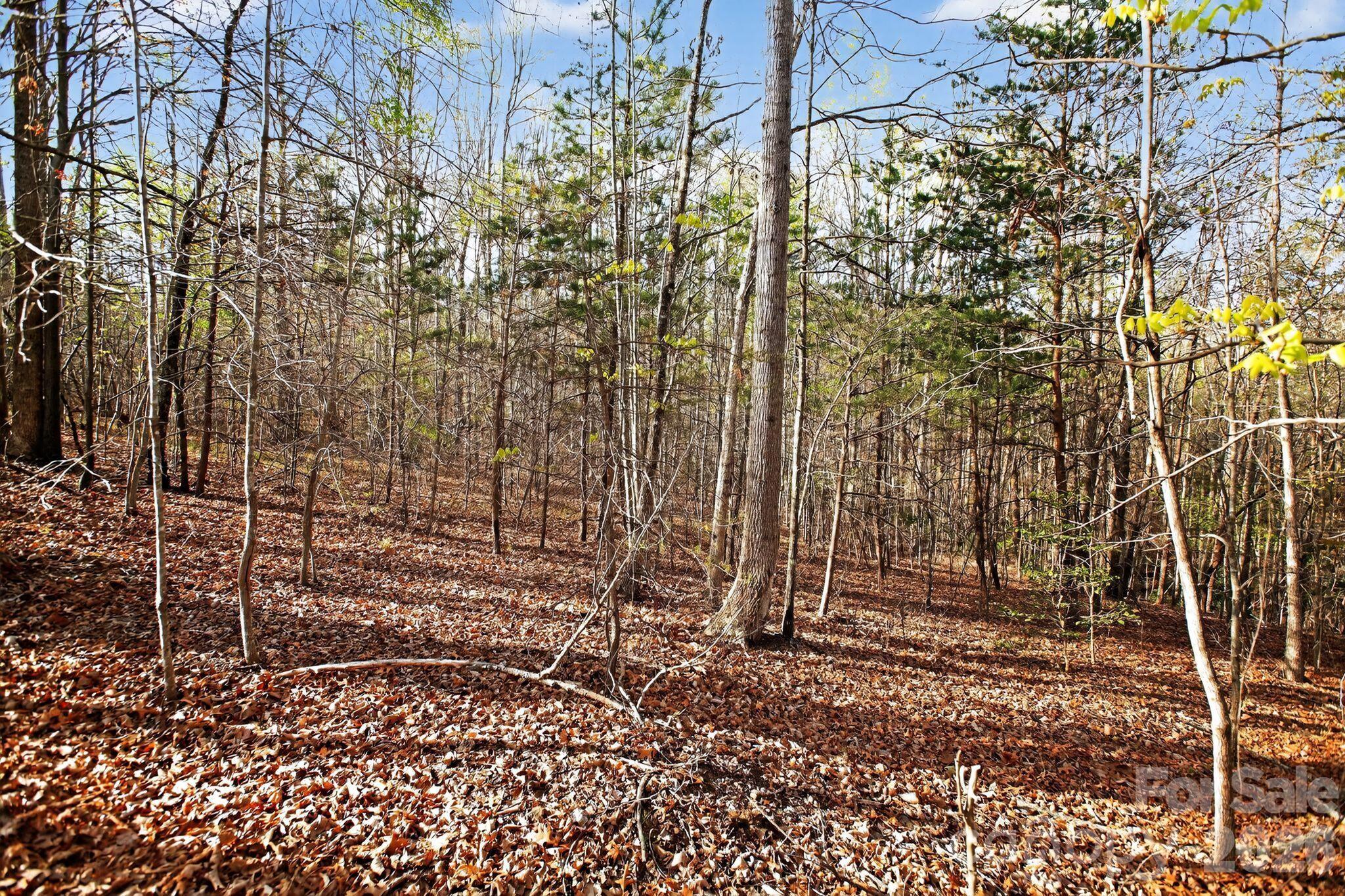 Lot at Lot 62 Dirksen Avenue, Nebo, photo 3 of 37