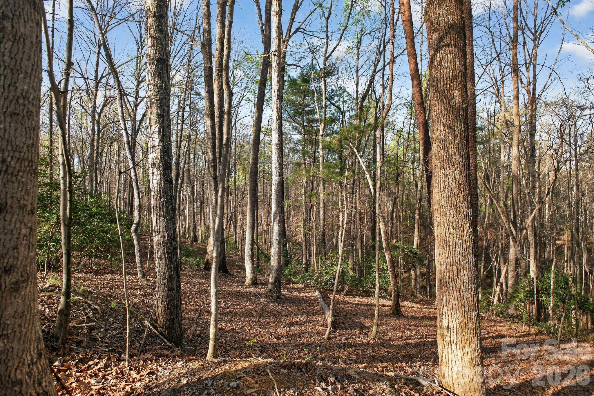Lot at Lot 62 Dirksen Avenue, Nebo, photo 4 of 37