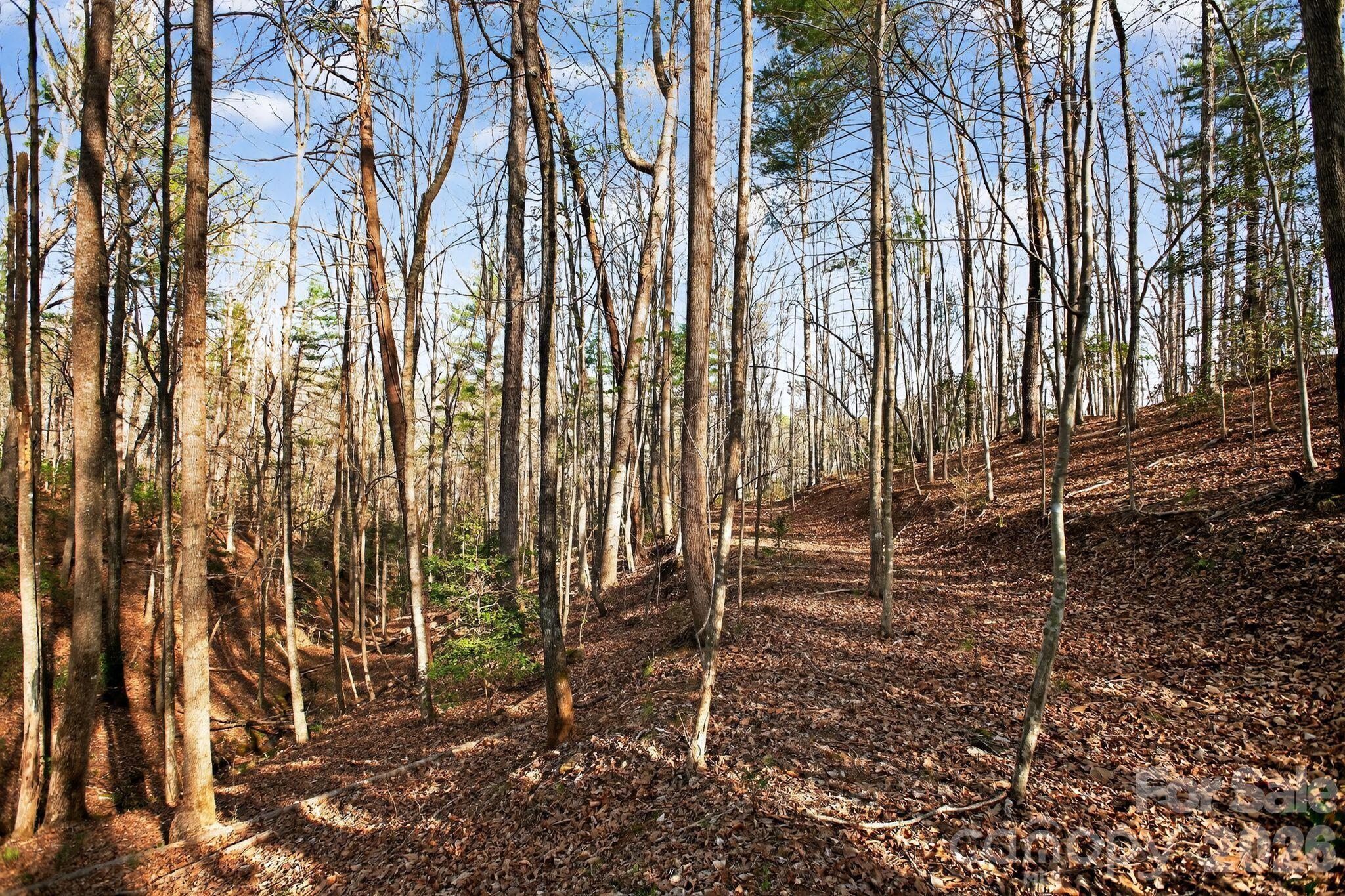 Lot at Lot 62 Dirksen Avenue, Nebo, photo 5 of 37