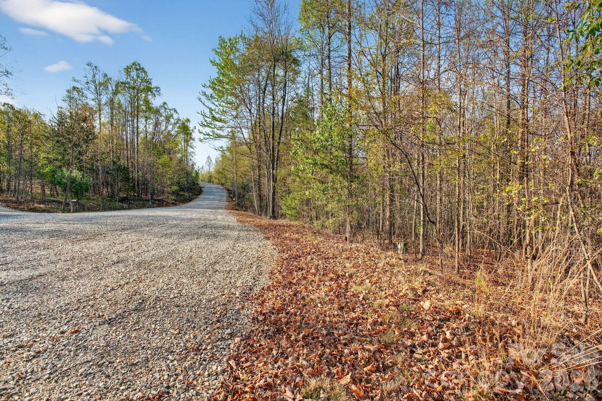 Lot at Lot 62 Dirksen Avenue, Nebo, photo 6 of 37