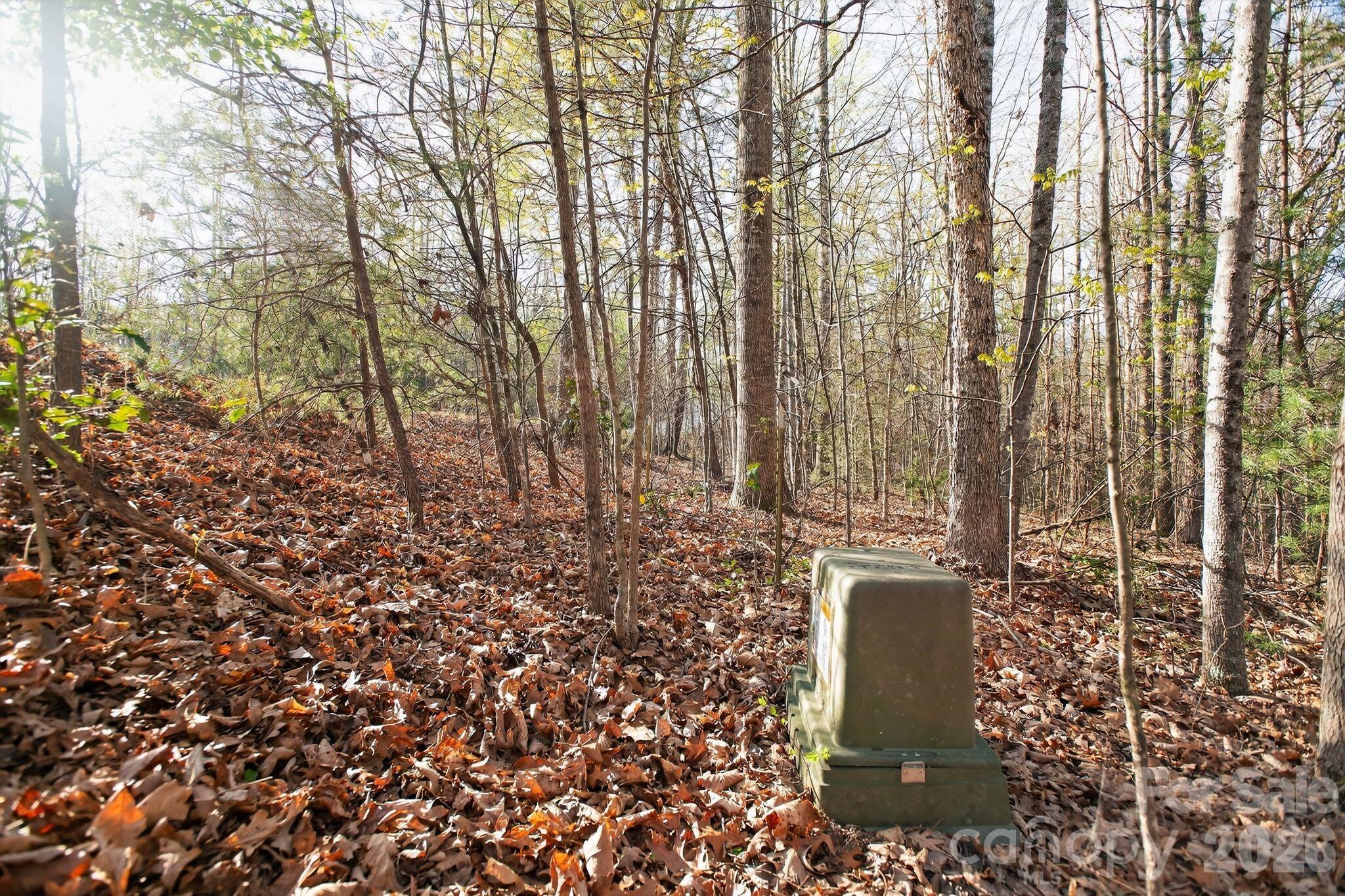 Lot at Lot 62 Dirksen Avenue, Nebo, photo 9 of 37