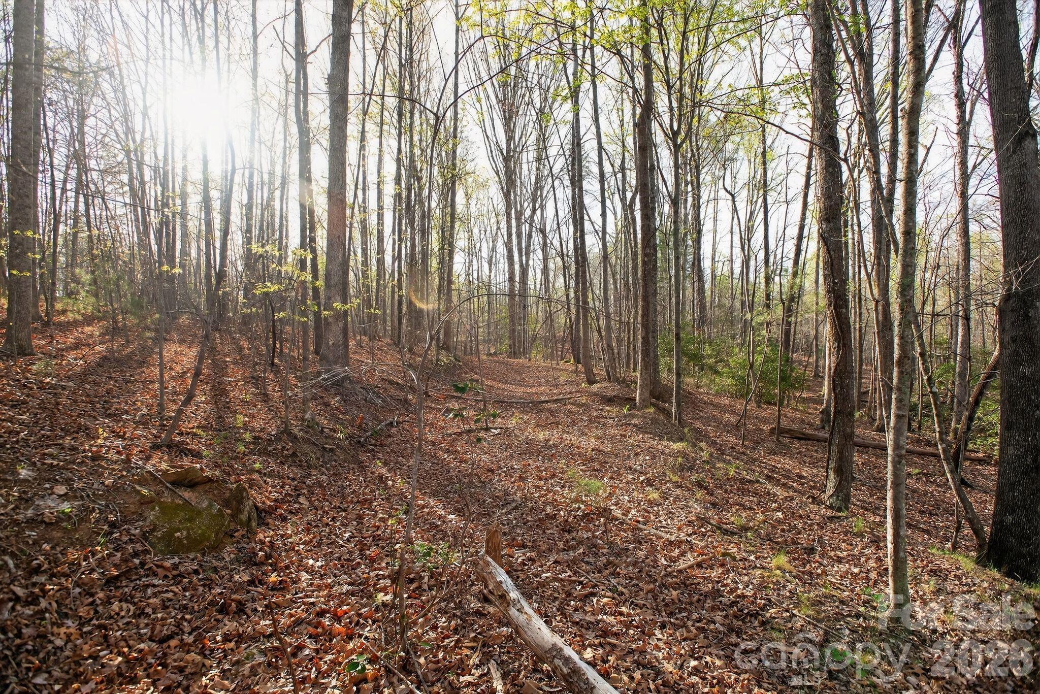 Lot at Lot 62 Dirksen Avenue, Nebo, photo 10 of 37