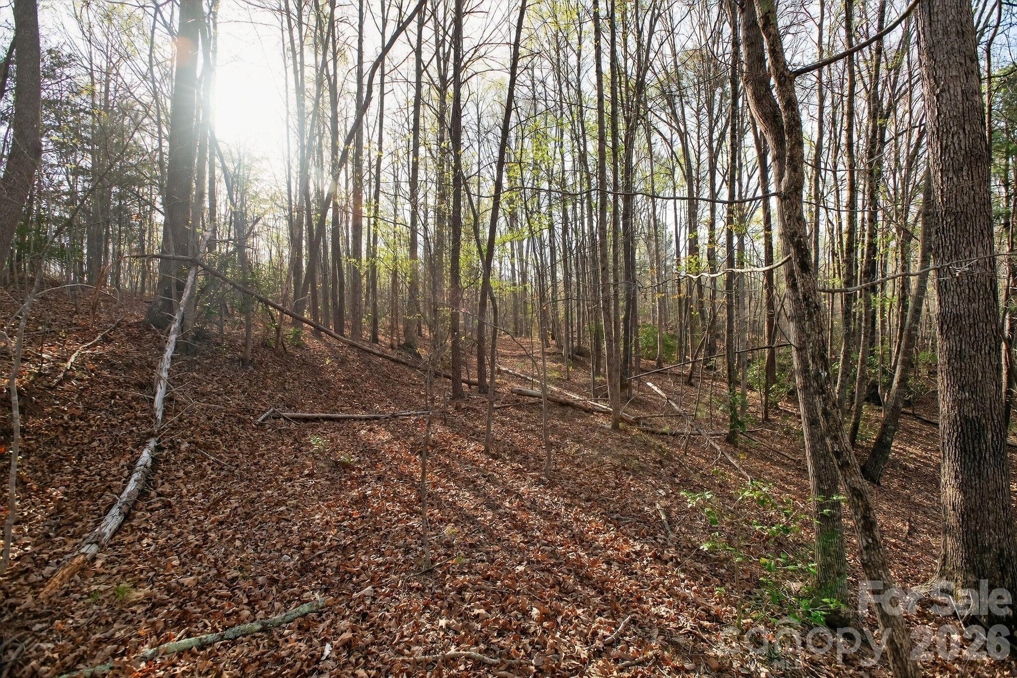 Lot at Lot 62 Dirksen Avenue, Nebo, photo 11 of 37