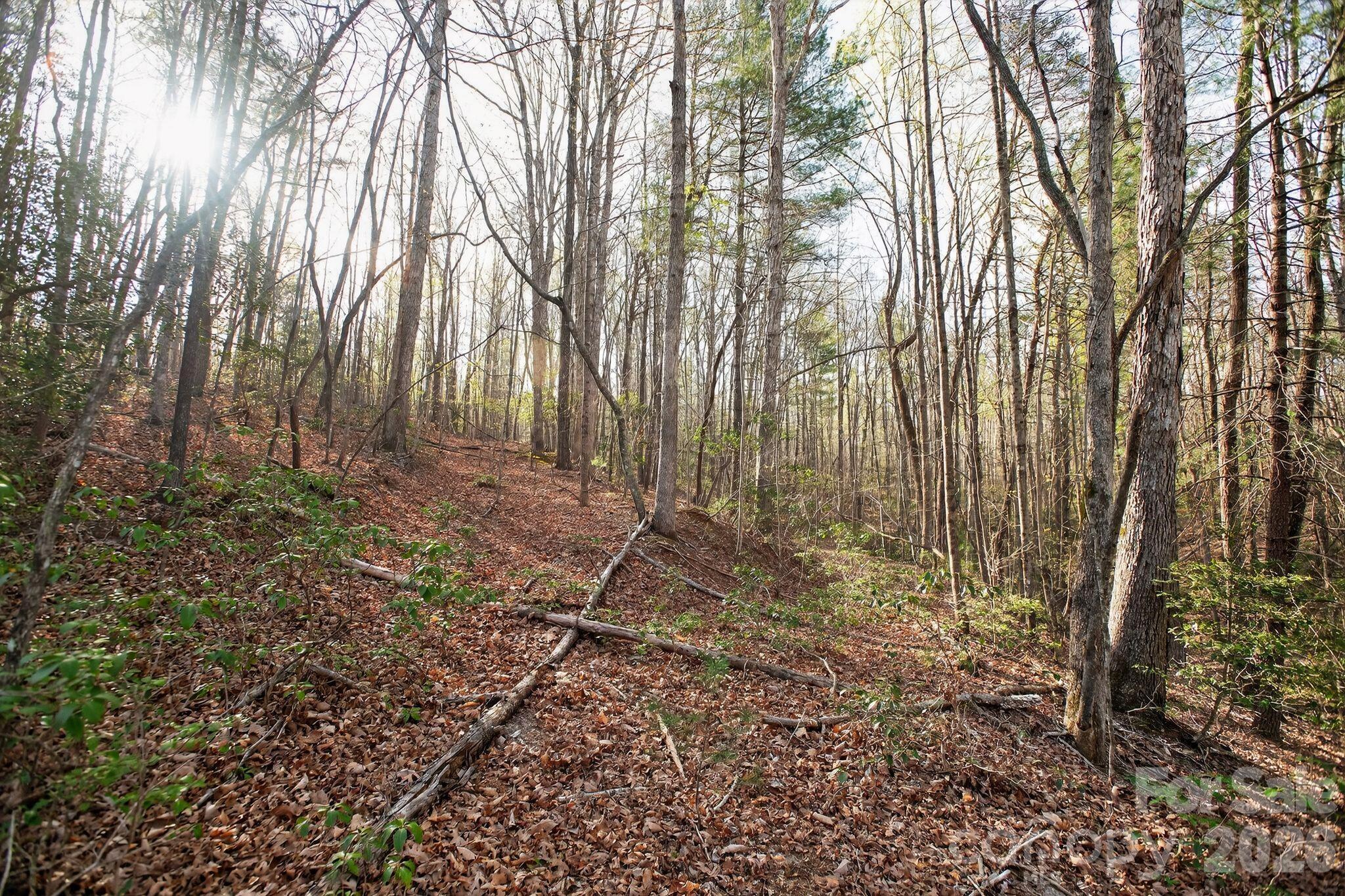Lot at Lot 62 Dirksen Avenue, Nebo, photo 12 of 37