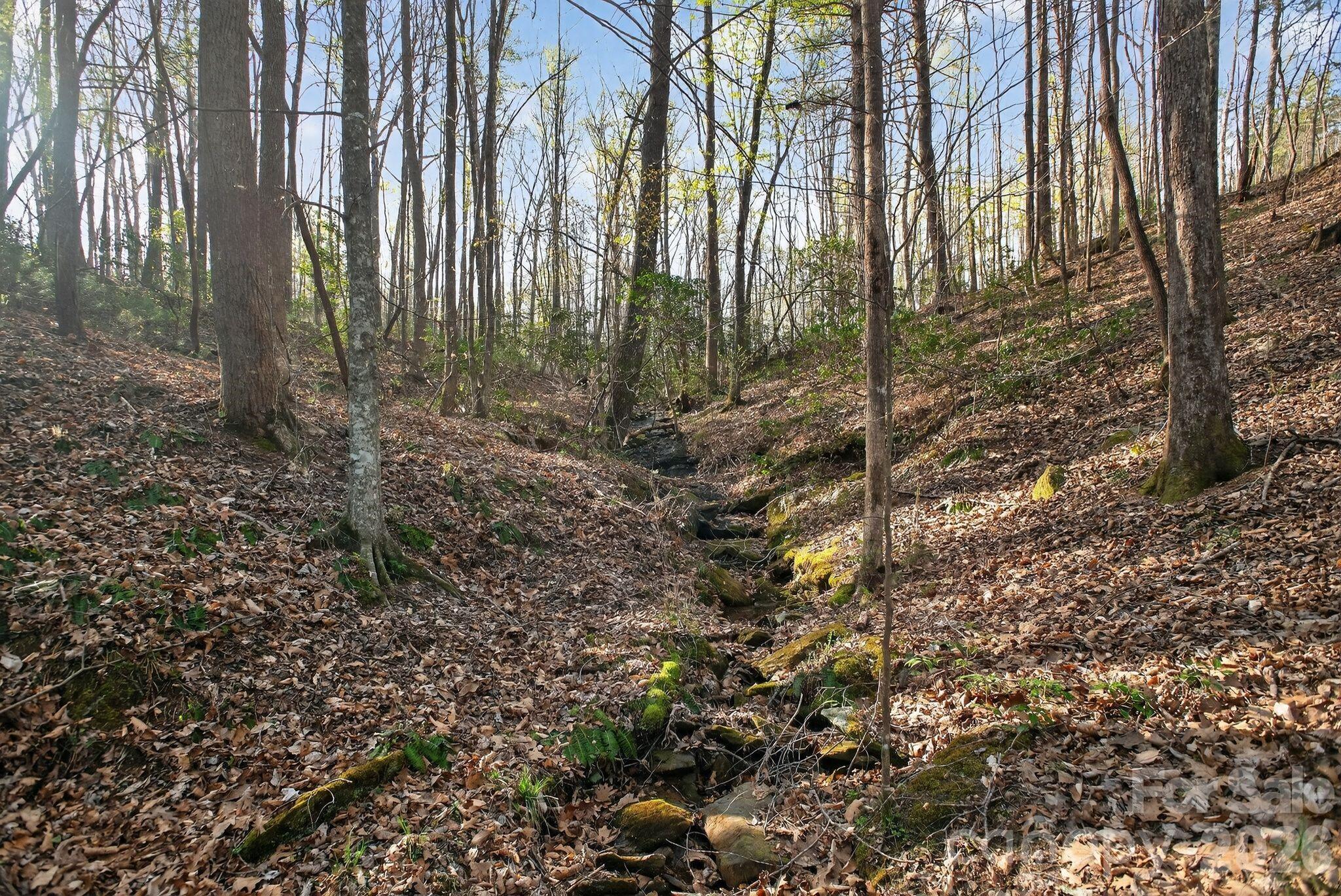 Lot at Lot 62 Dirksen Avenue, Nebo, photo 13 of 37