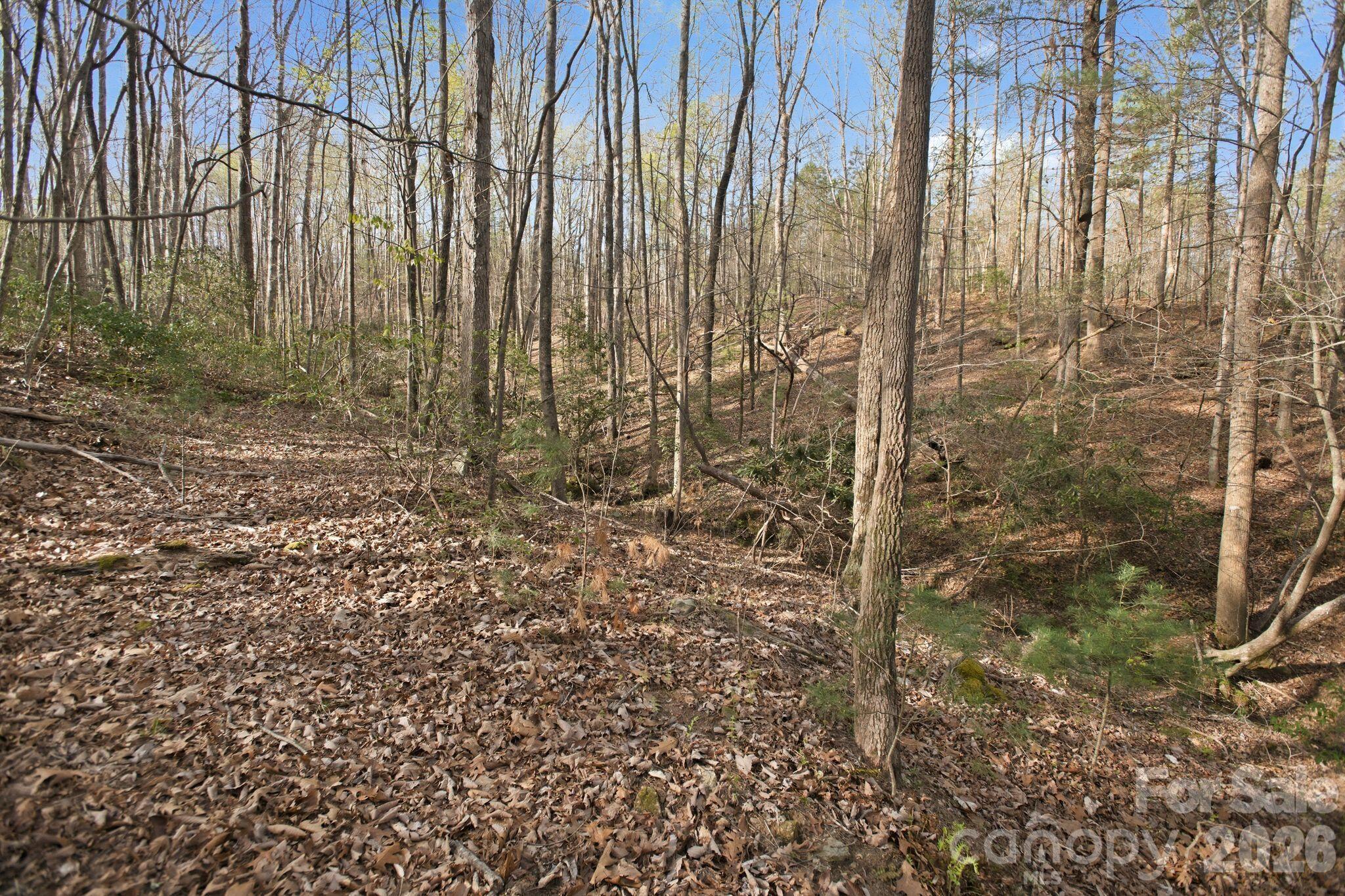 Lot at Lot 62 Dirksen Avenue, Nebo, photo 16 of 37
