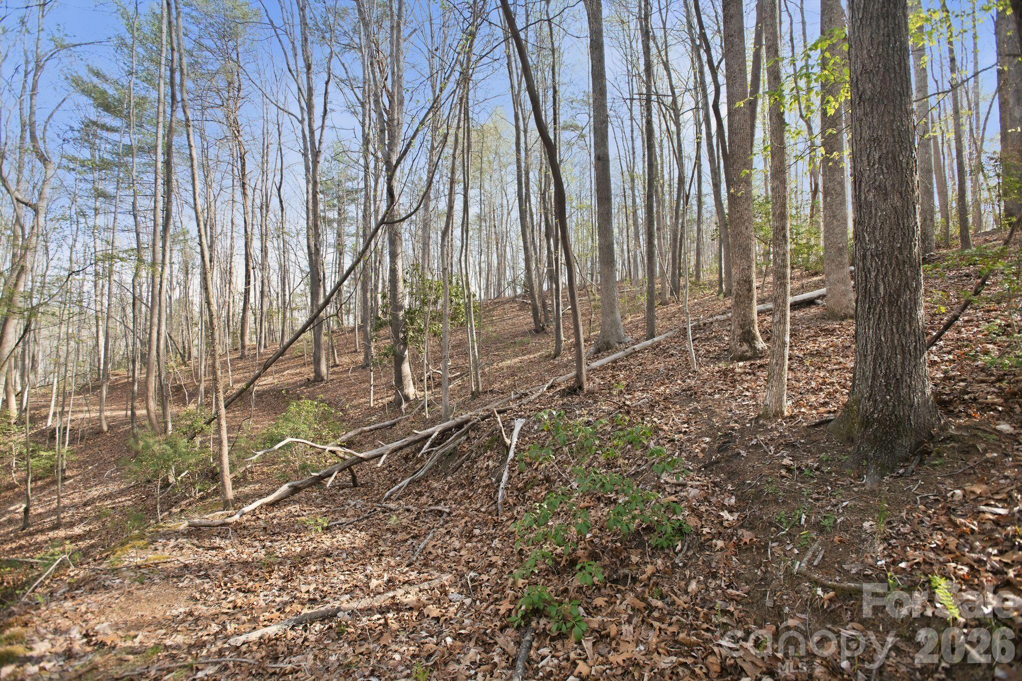 Lot at Lot 62 Dirksen Avenue, Nebo, photo 17 of 37