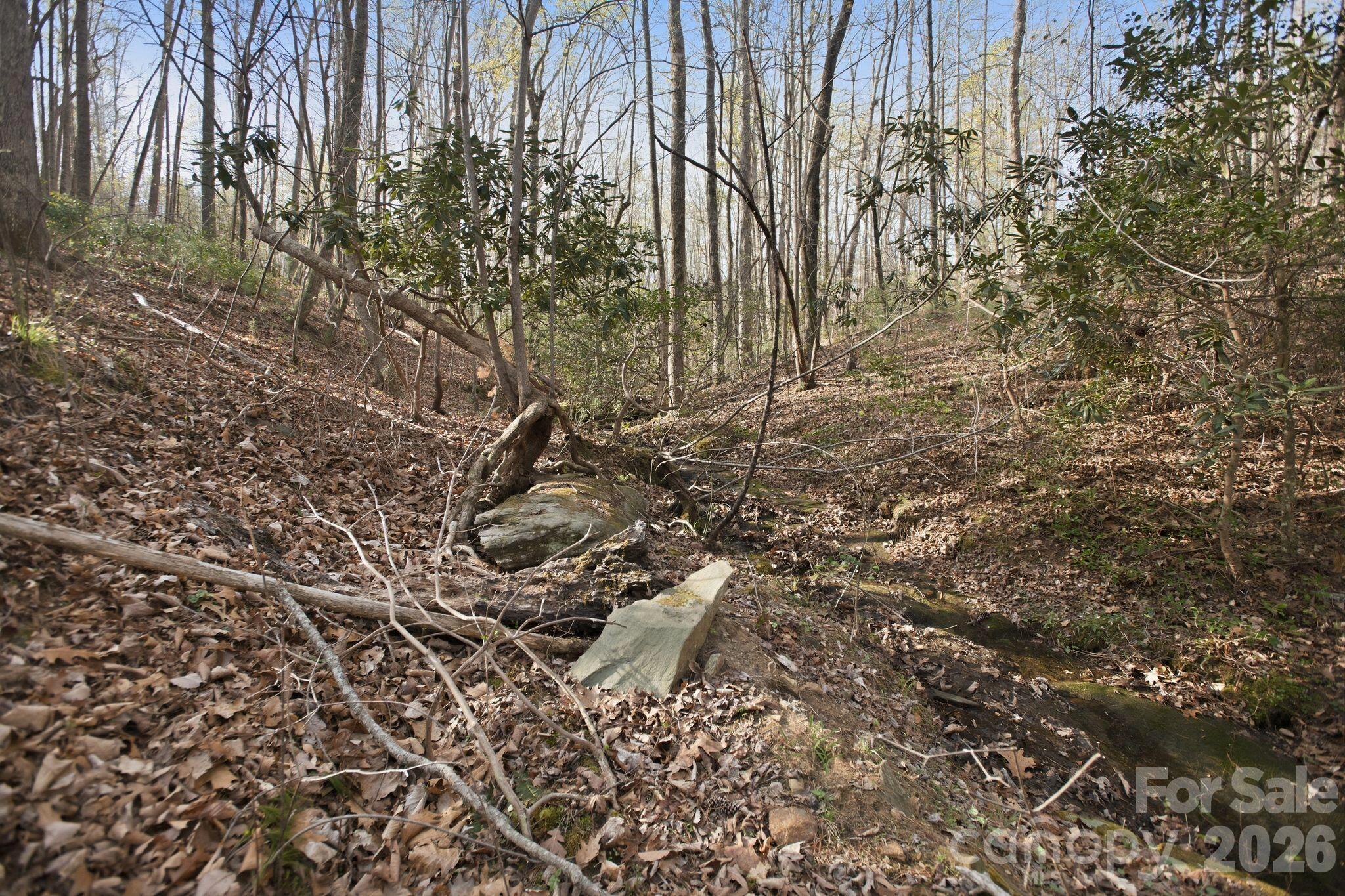 Lot at Lot 62 Dirksen Avenue, Nebo, photo 18 of 37