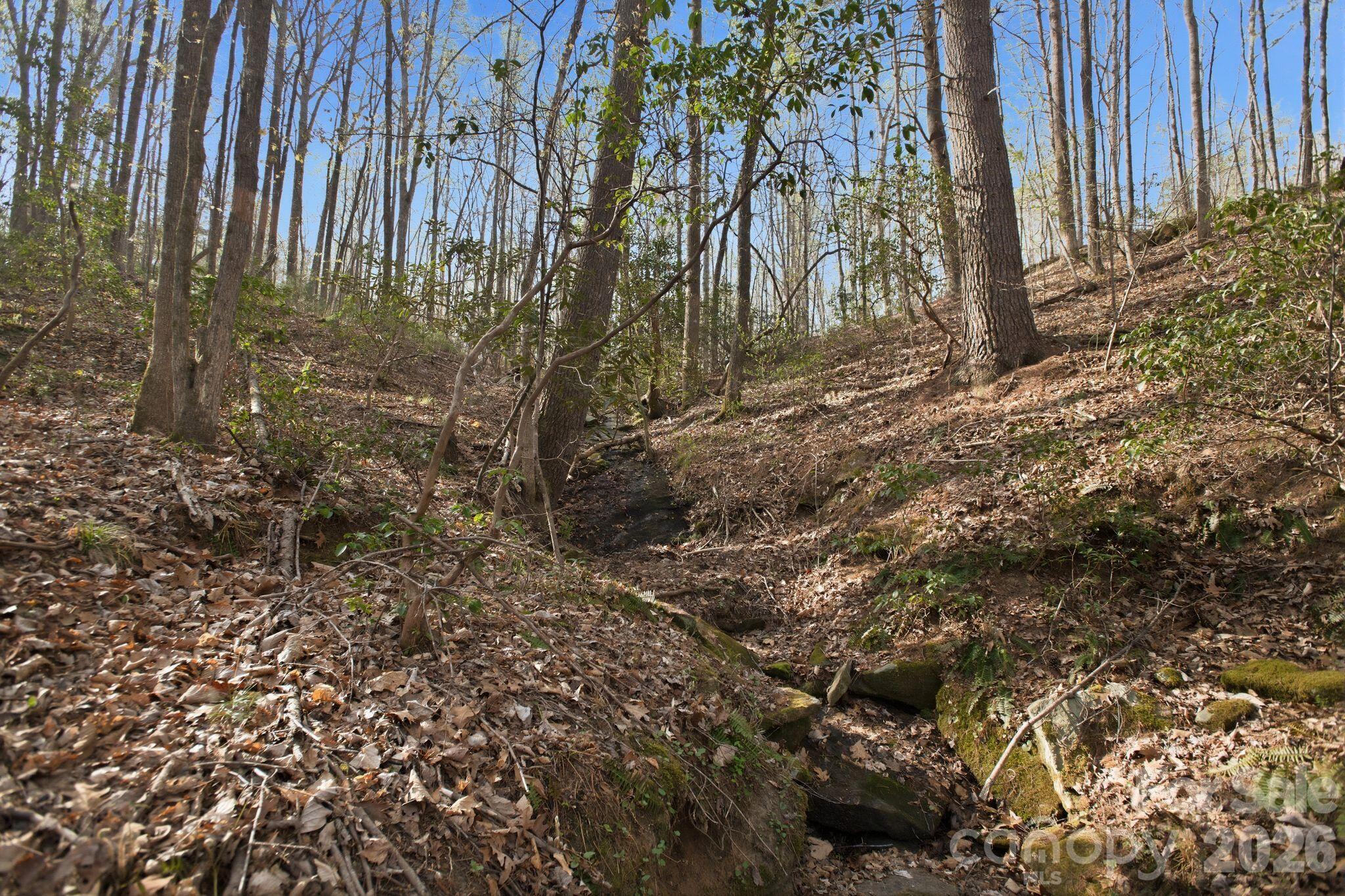 Lot at Lot 62 Dirksen Avenue, Nebo, photo 19 of 37