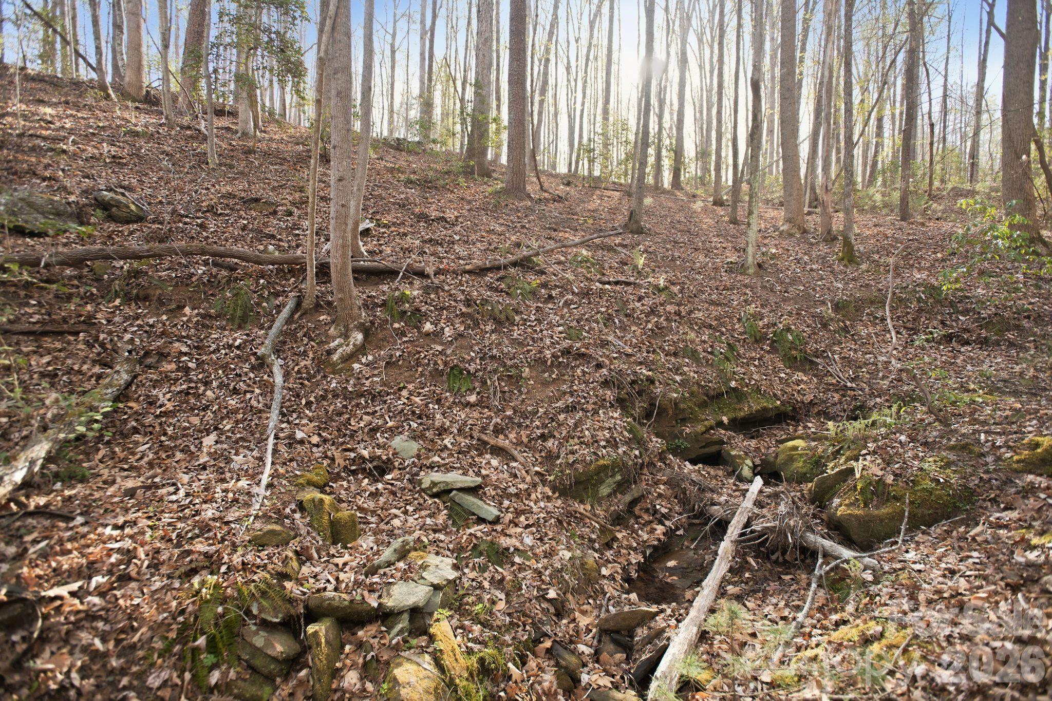 Lot at Lot 62 Dirksen Avenue, Nebo, photo 20 of 37