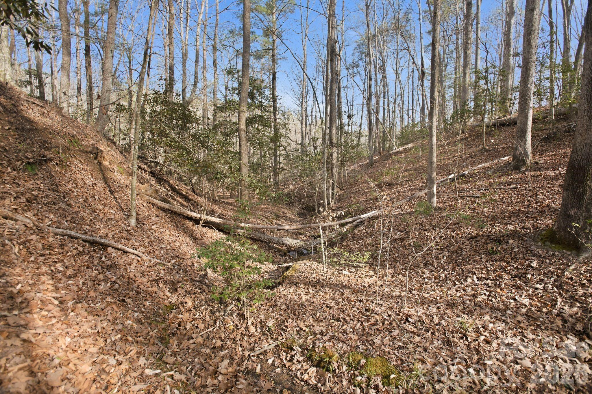 Lot at Lot 62 Dirksen Avenue, Nebo, photo 21 of 37