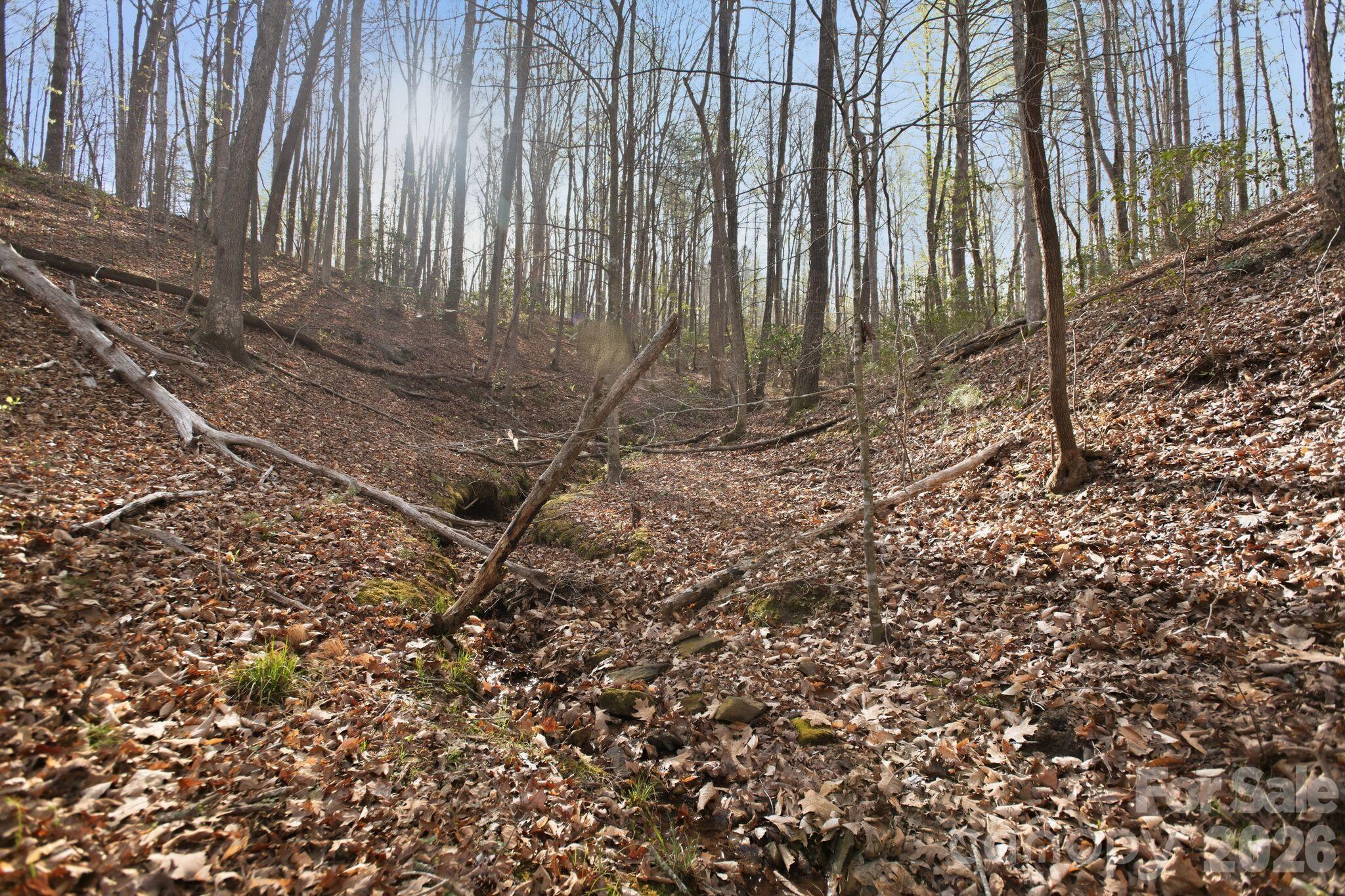 Lot at Lot 62 Dirksen Avenue, Nebo, photo 22 of 37