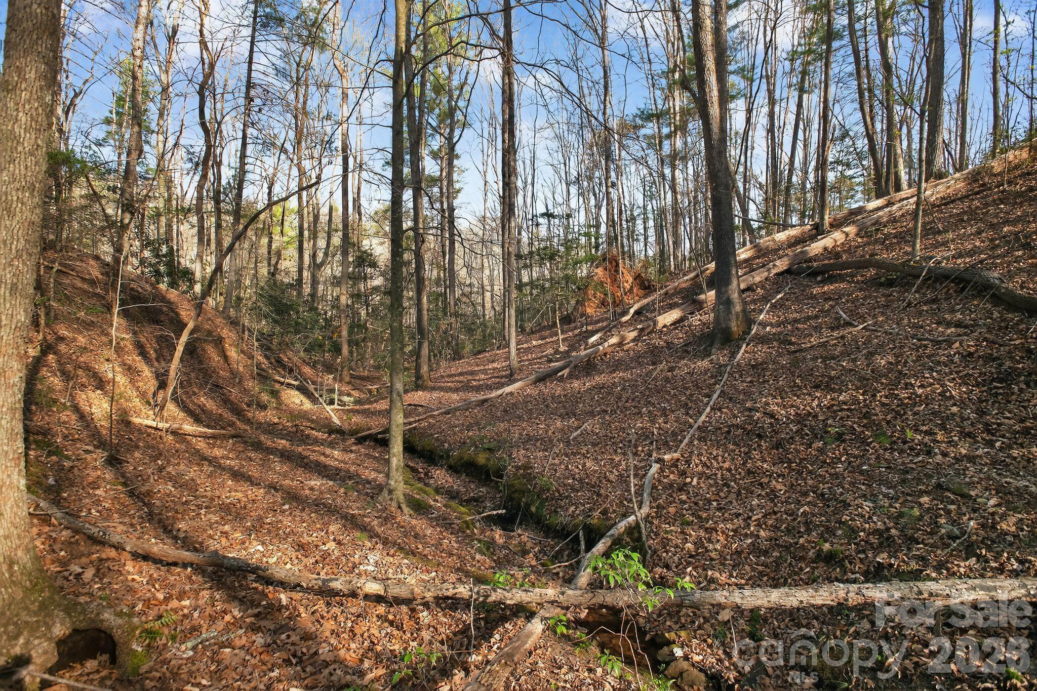 Lot at Lot 62 Dirksen Avenue, Nebo, photo 23 of 37