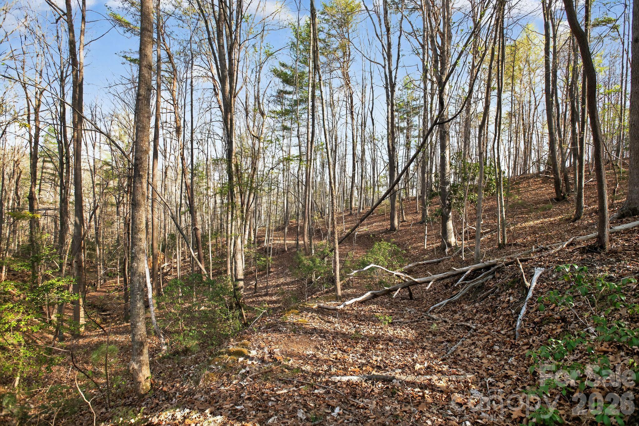 Lot at Lot 62 Dirksen Avenue, Nebo, photo 25 of 37