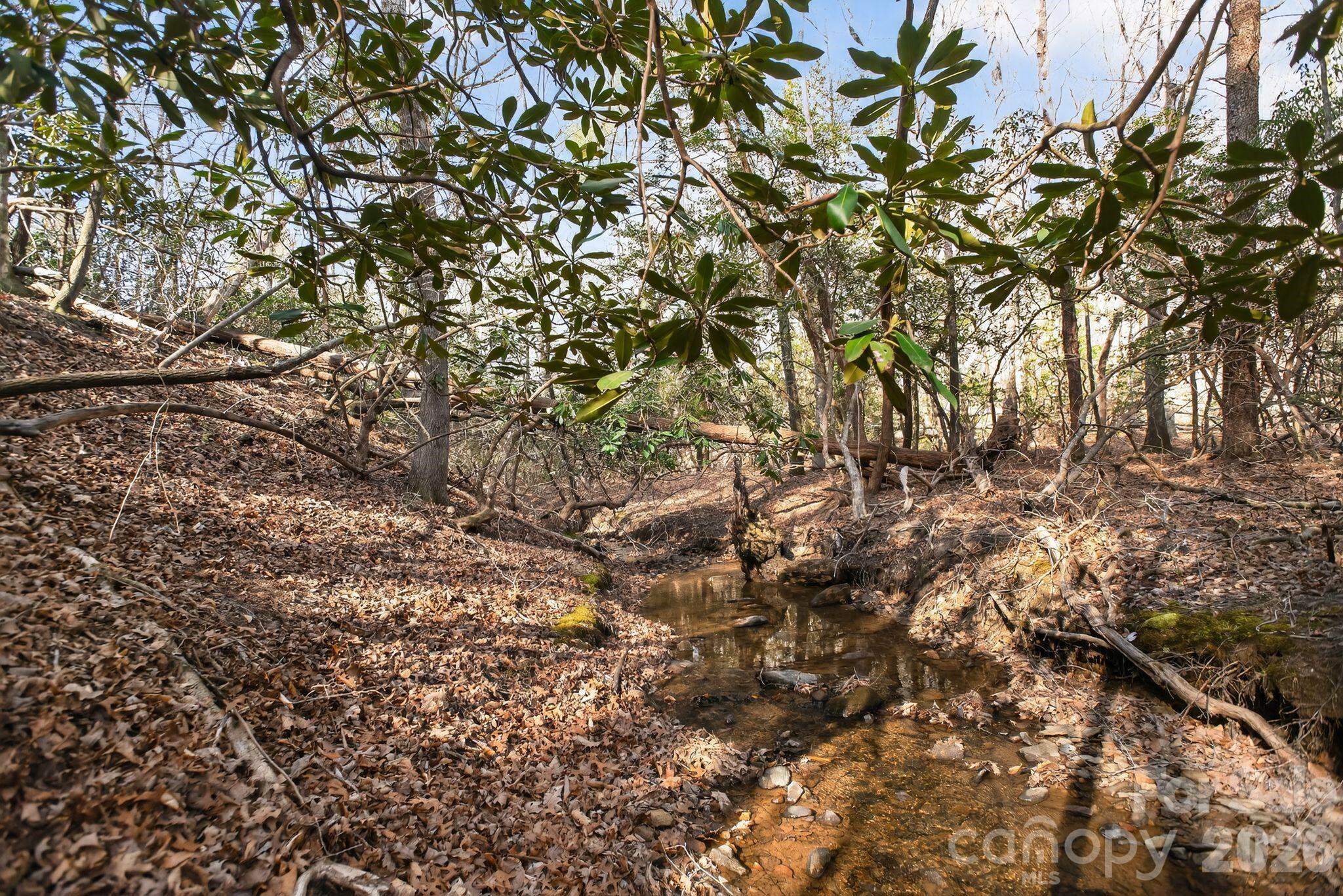 Lot at Lot 62 Dirksen Avenue, Nebo, photo 26 of 37