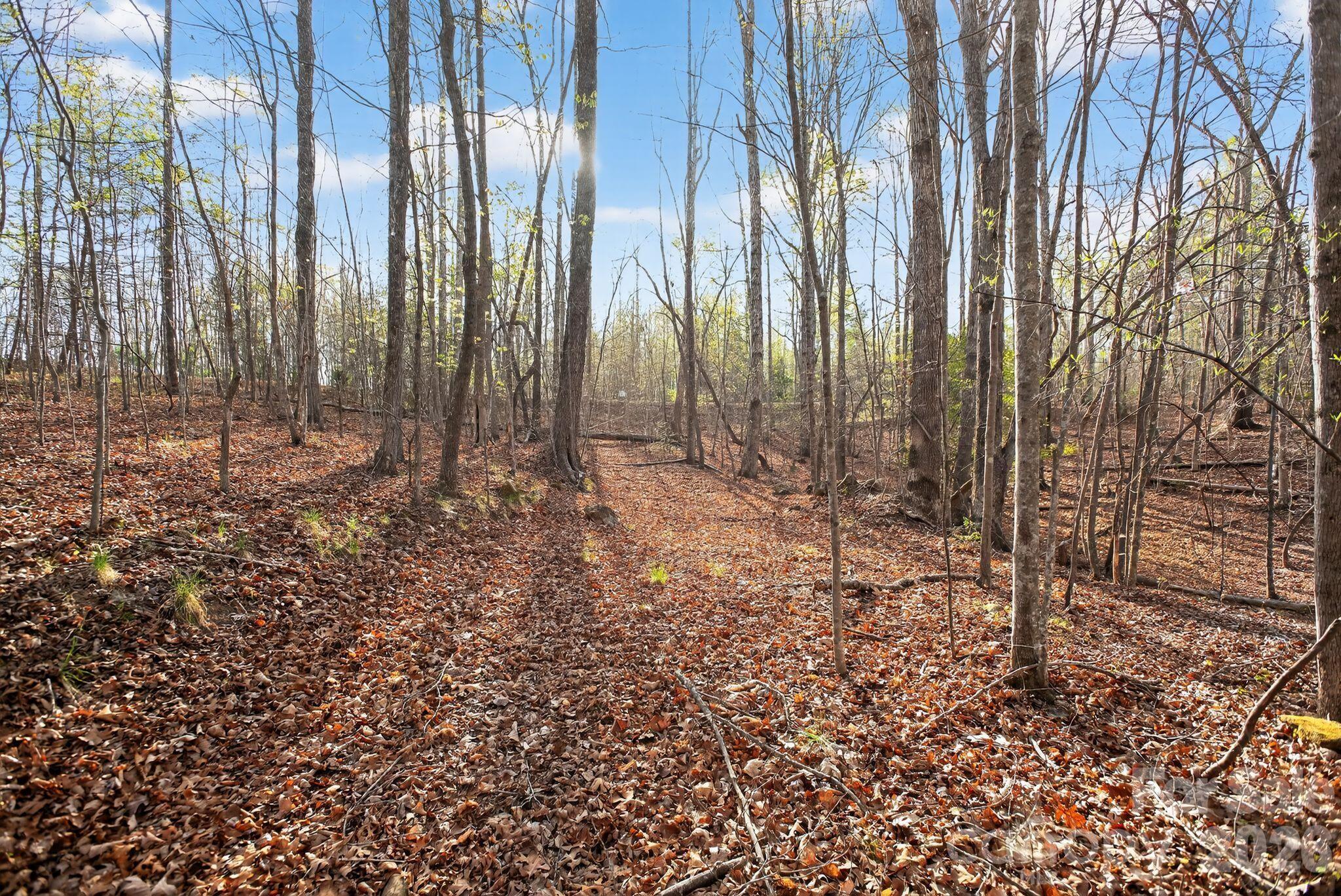 Lot at Lot 62 Dirksen Avenue, Nebo, photo 27 of 37