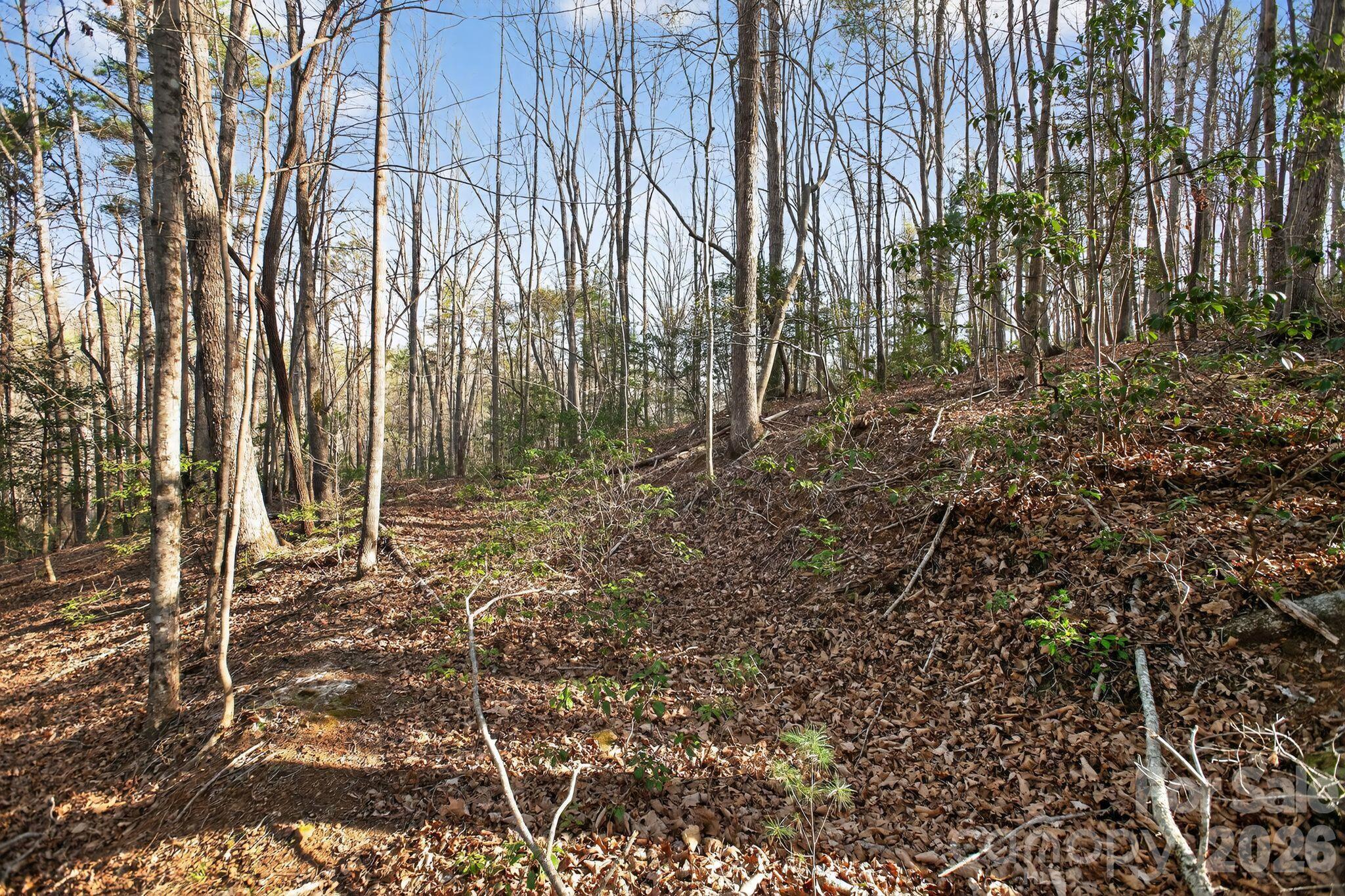 Lot at Lot 62 Dirksen Avenue, Nebo, photo 28 of 37