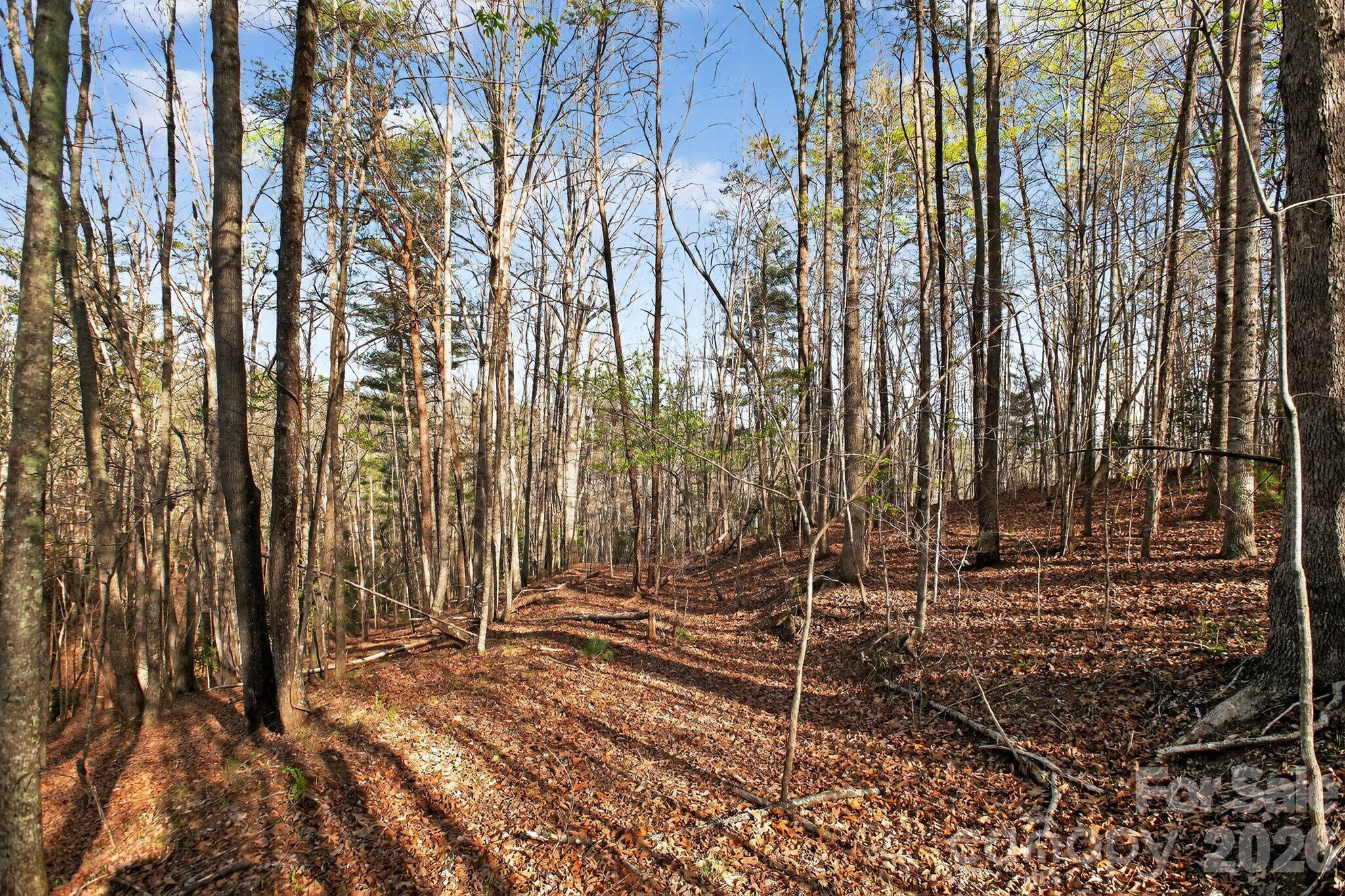 Lot at Lot 62 Dirksen Avenue, Nebo, photo 29 of 37