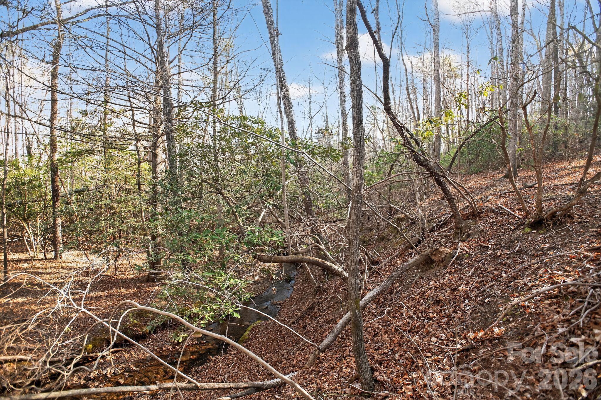 Lot at Lot 62 Dirksen Avenue, Nebo, photo 31 of 37