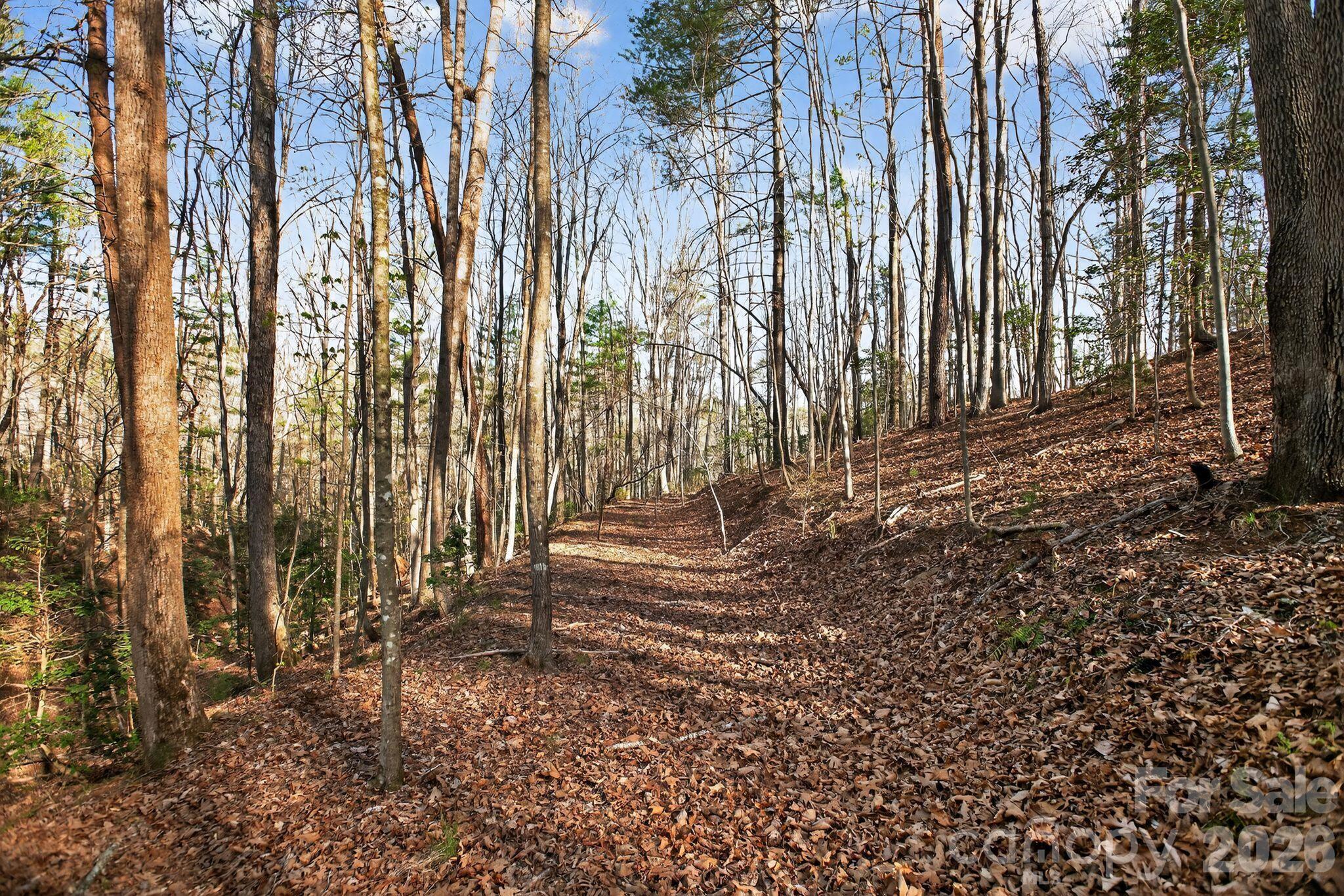 Lot at Lot 62 Dirksen Avenue, Nebo, photo 32 of 37