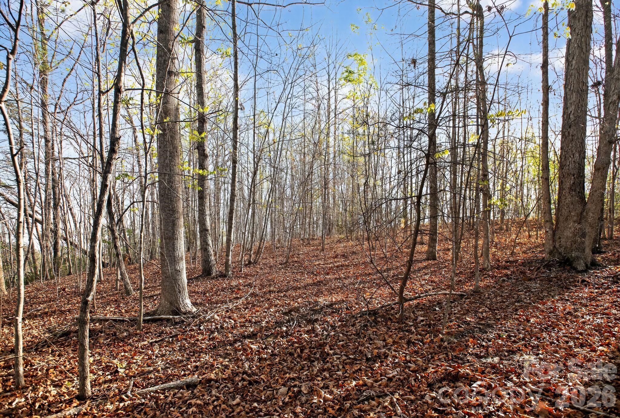 Lot at Lot 62 Dirksen Avenue, Nebo, photo 33 of 37