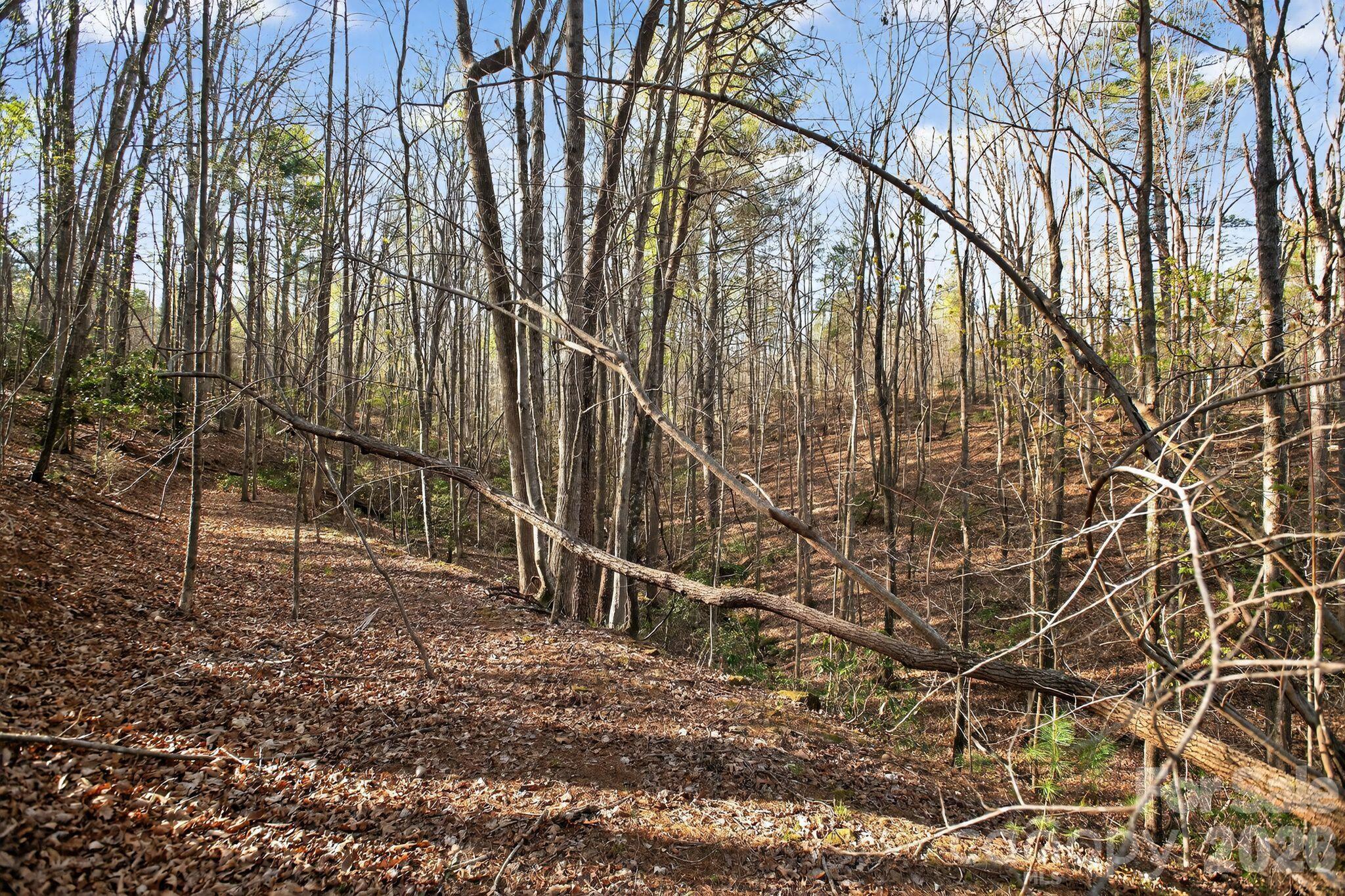 Lot at Lot 62 Dirksen Avenue, Nebo, photo 34 of 37