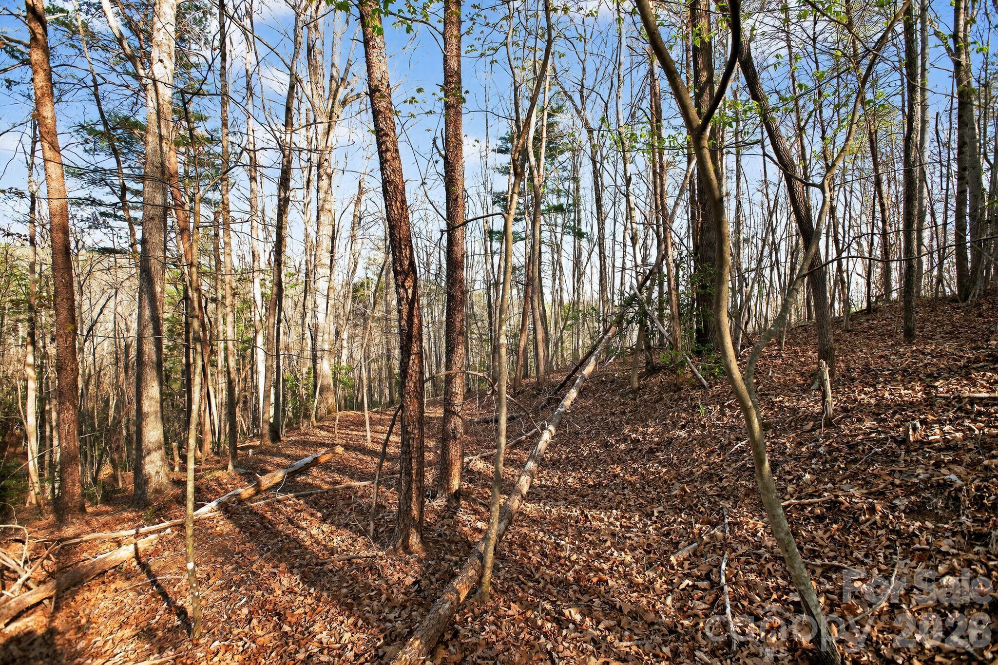 Lot at Lot 62 Dirksen Avenue, Nebo, photo 35 of 37