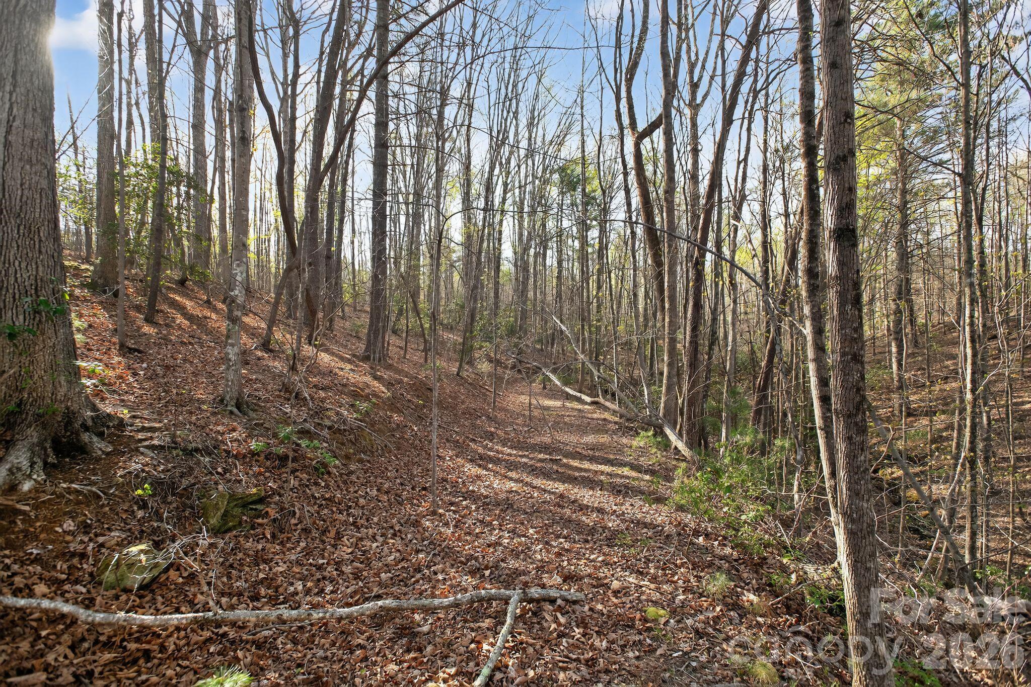 Lot at Lot 62 Dirksen Avenue, Nebo, photo 36 of 37