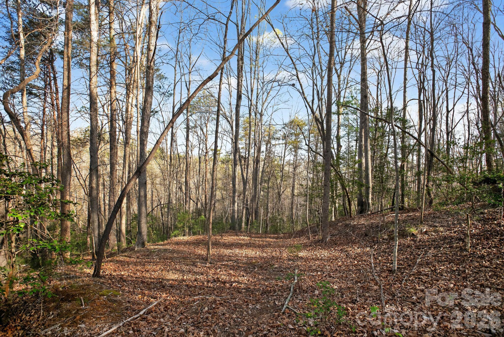 Lot at Lot 62 Dirksen Avenue, Nebo, photo 37 of 37