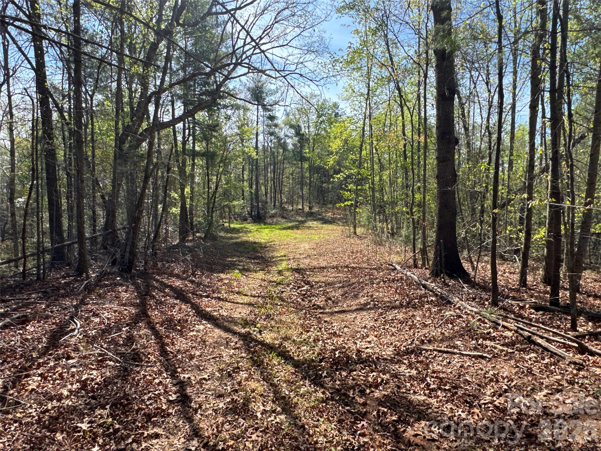 Acreage at 4017 Piney Road, Morganton, photo 20 of 35