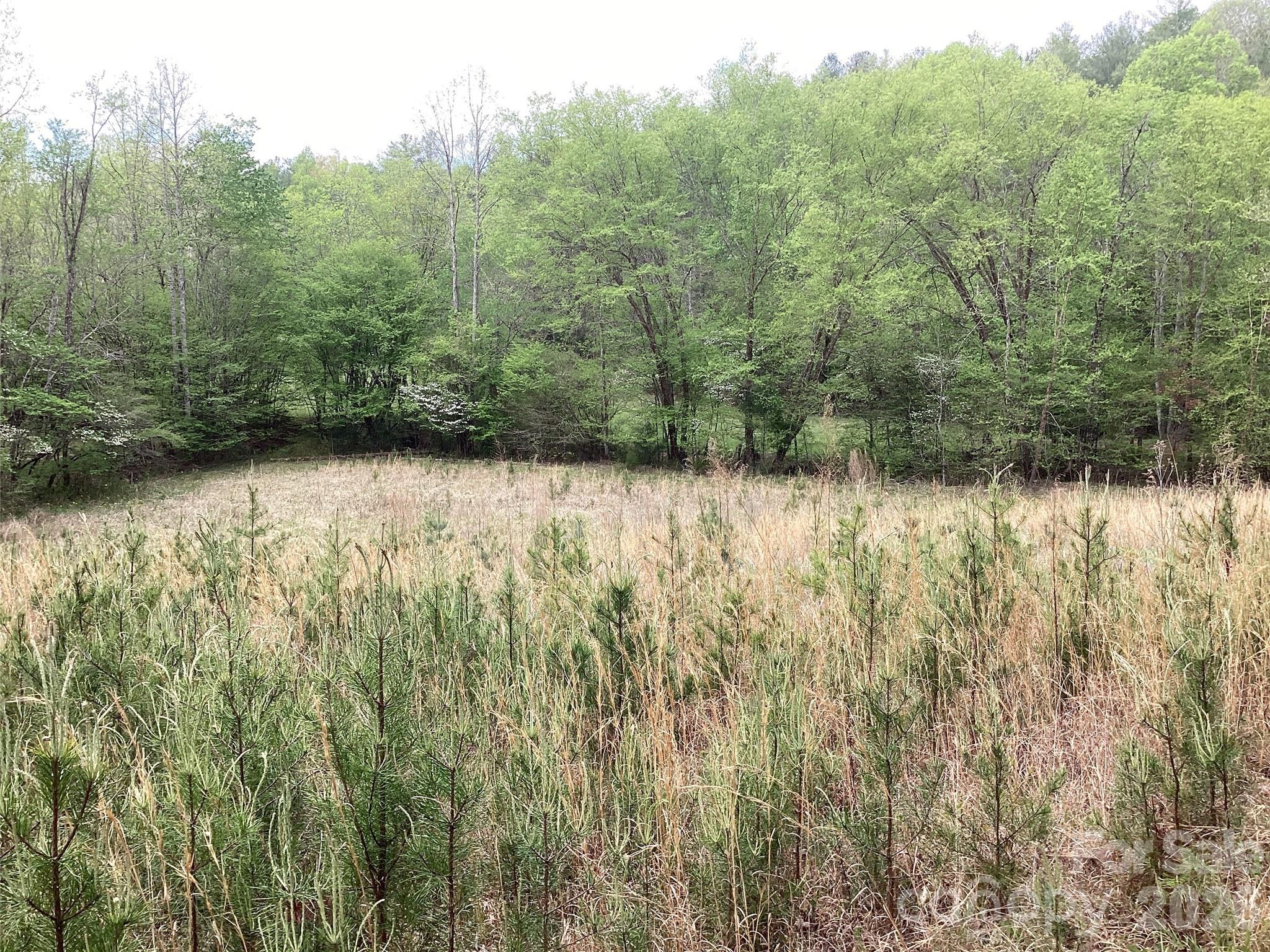 Acreage at 4017 Piney Road, Morganton, photo 21 of 35