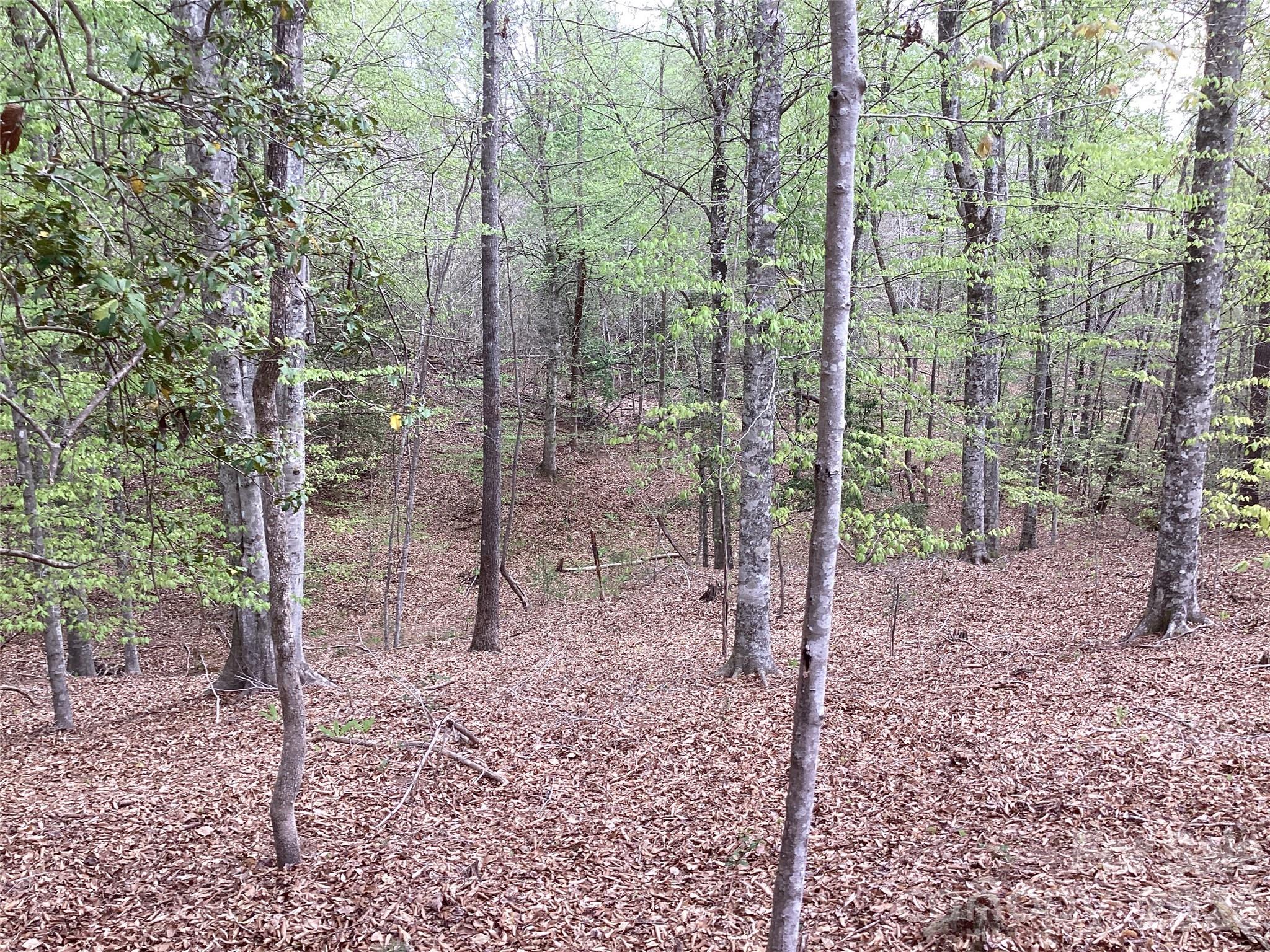 Acreage at 4017 Piney Road, Morganton, photo 31 of 35