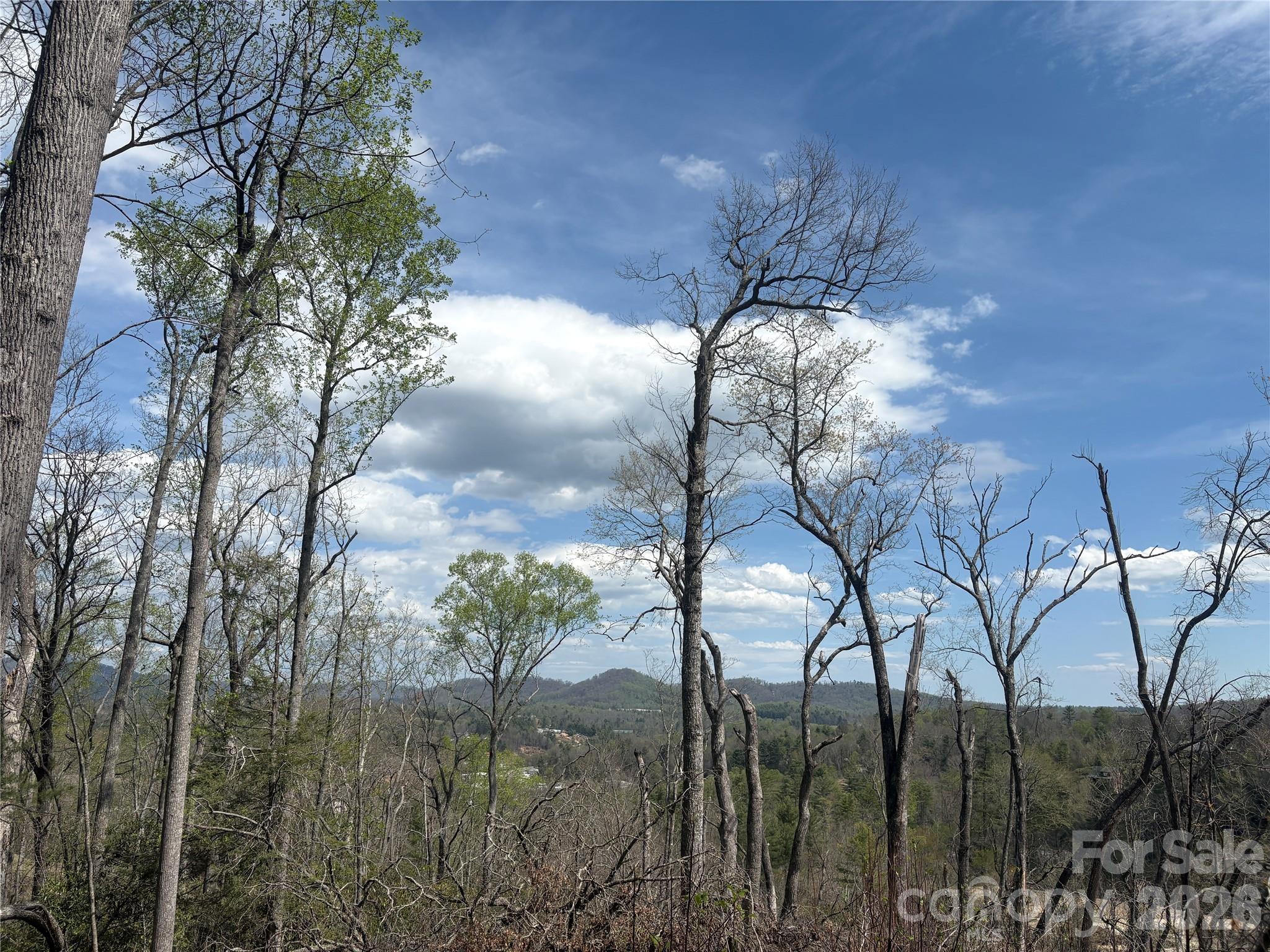 Views - TBD Swiss Pine Lake Drive, Spruce Pine