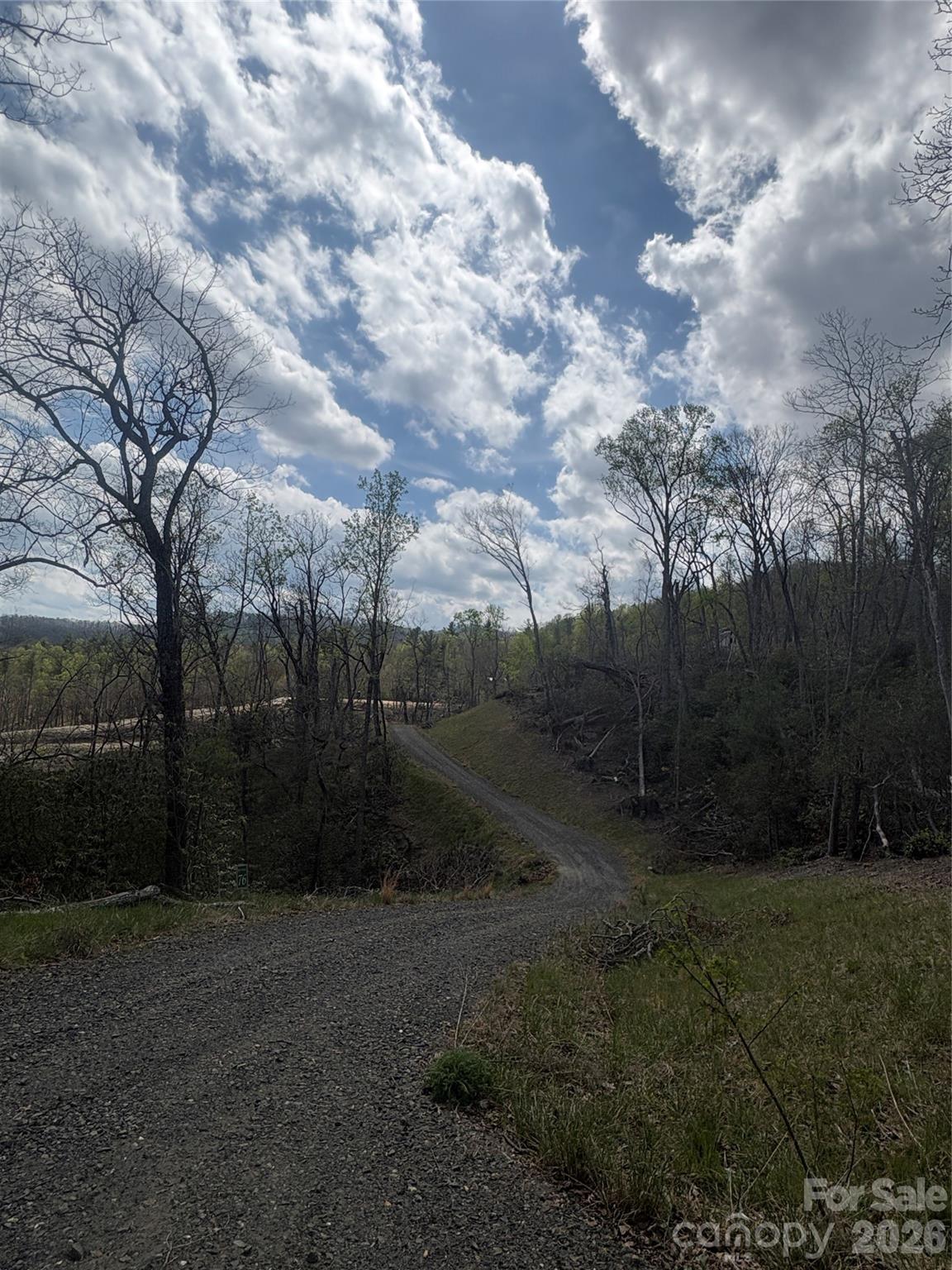 Bottom access Road - TBD Swiss Pine Lake Drive, Spruce Pine