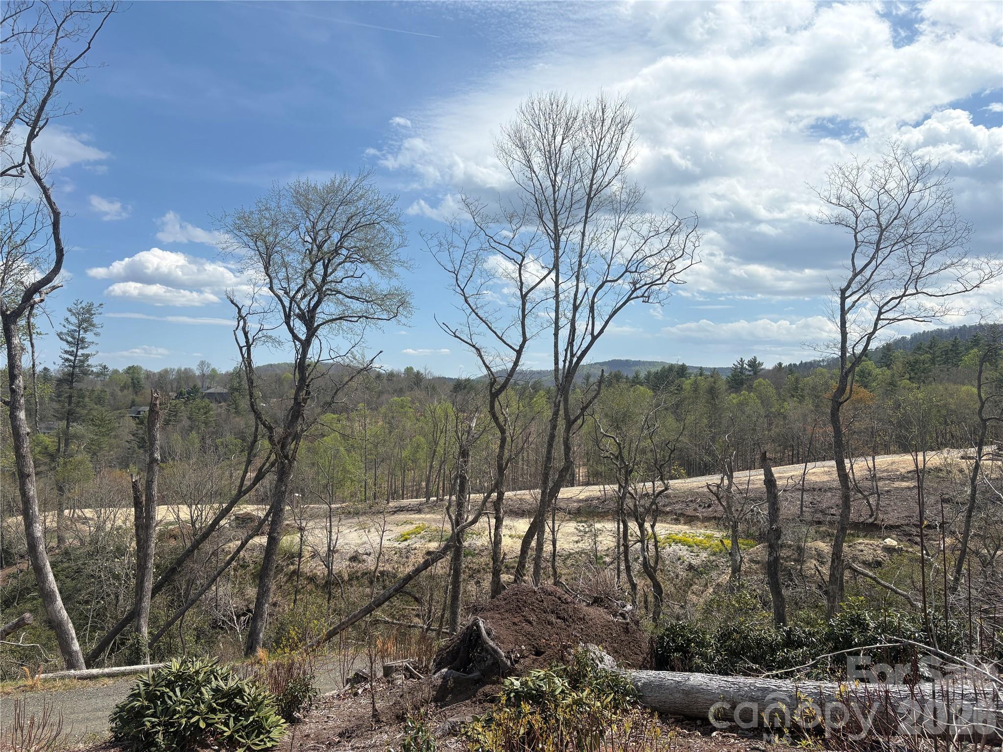 Views from middle/cleared part of lot - TBD Swiss Pine Lake Drive, Spruce Pine