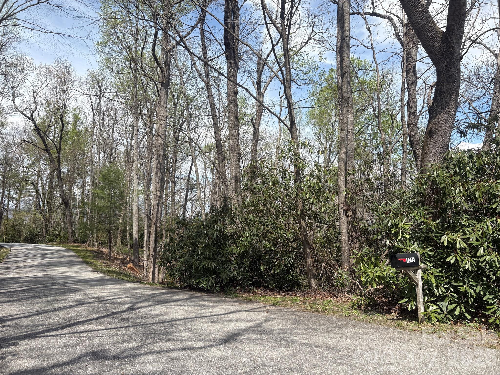 Top access road - TBD Swiss Pine Lake Drive, Spruce Pine