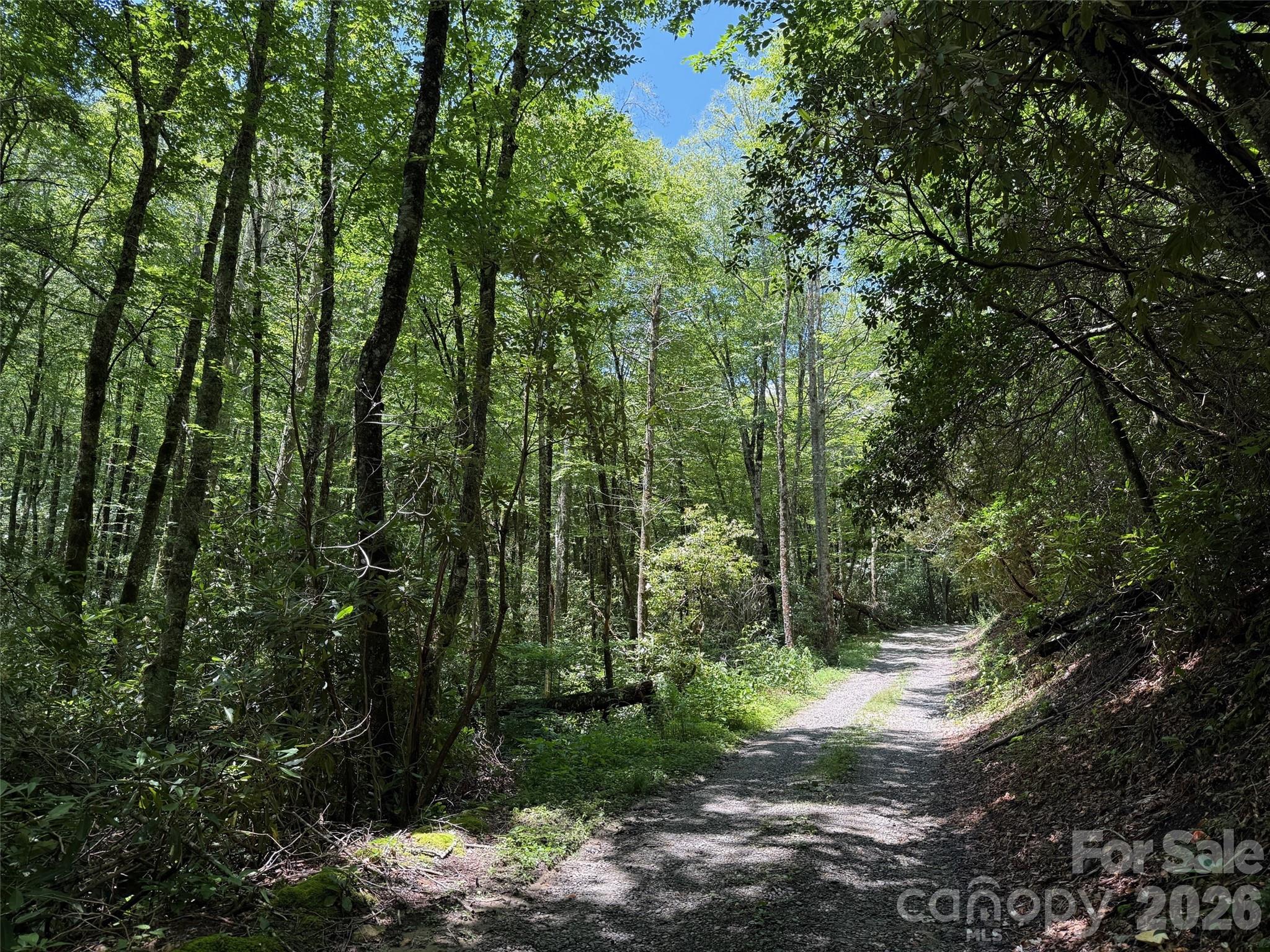 Lot at Lot #67 Spring Drive, Maggie Valley, photo 4 of 13