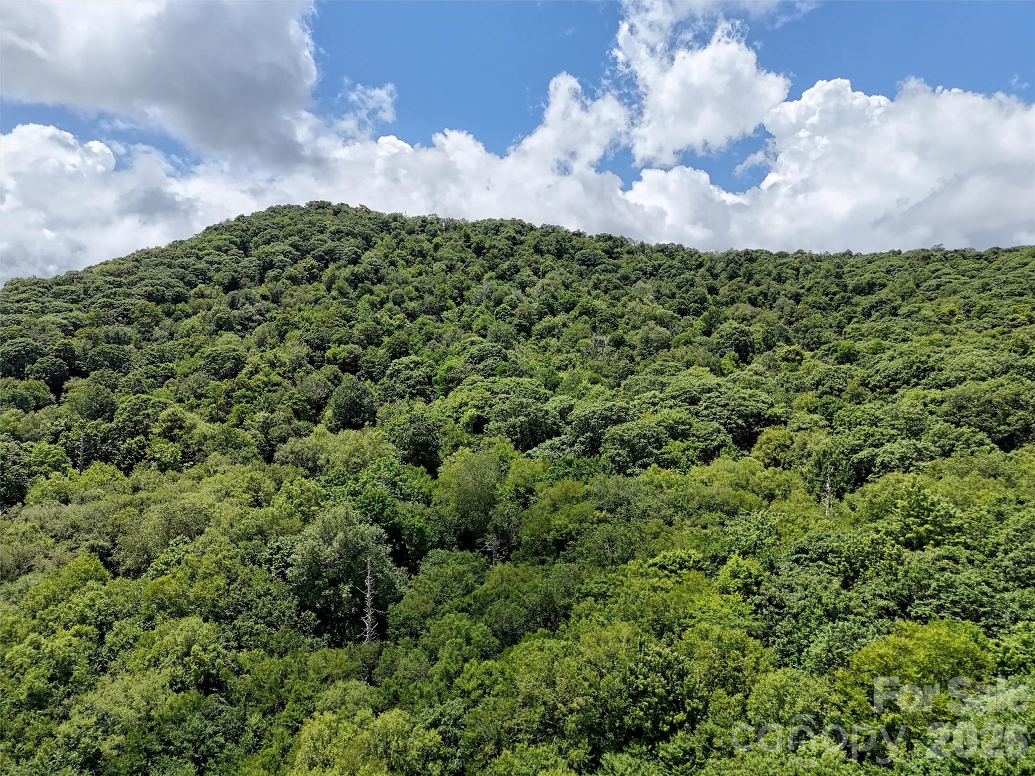 Lot at Lot #67 Spring Drive, Maggie Valley, photo 5 of 13