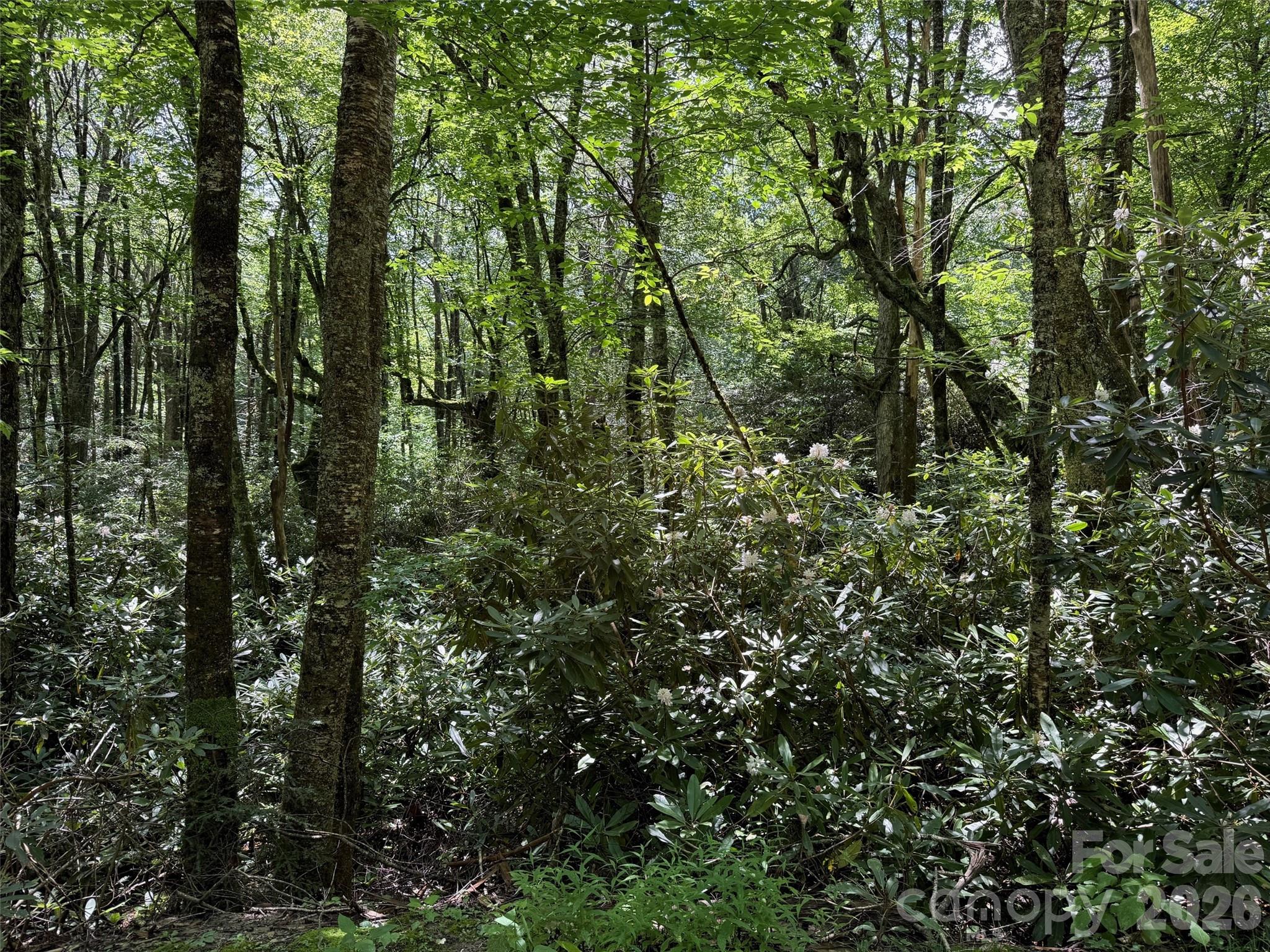 Lot at Lot #67 Spring Drive, Maggie Valley, photo 7 of 13