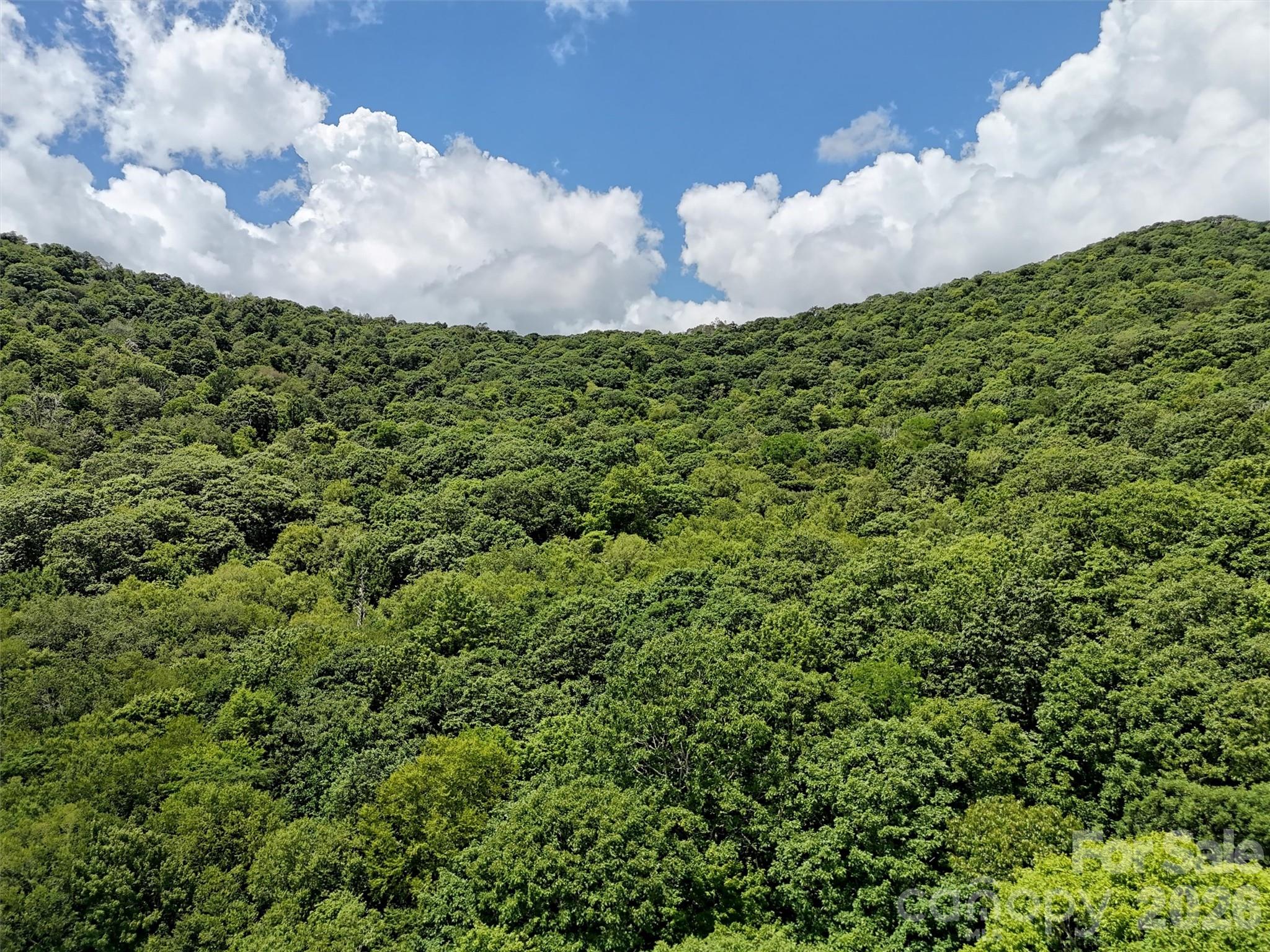 Lot at Lot #67 Spring Drive, Maggie Valley, photo 8 of 13