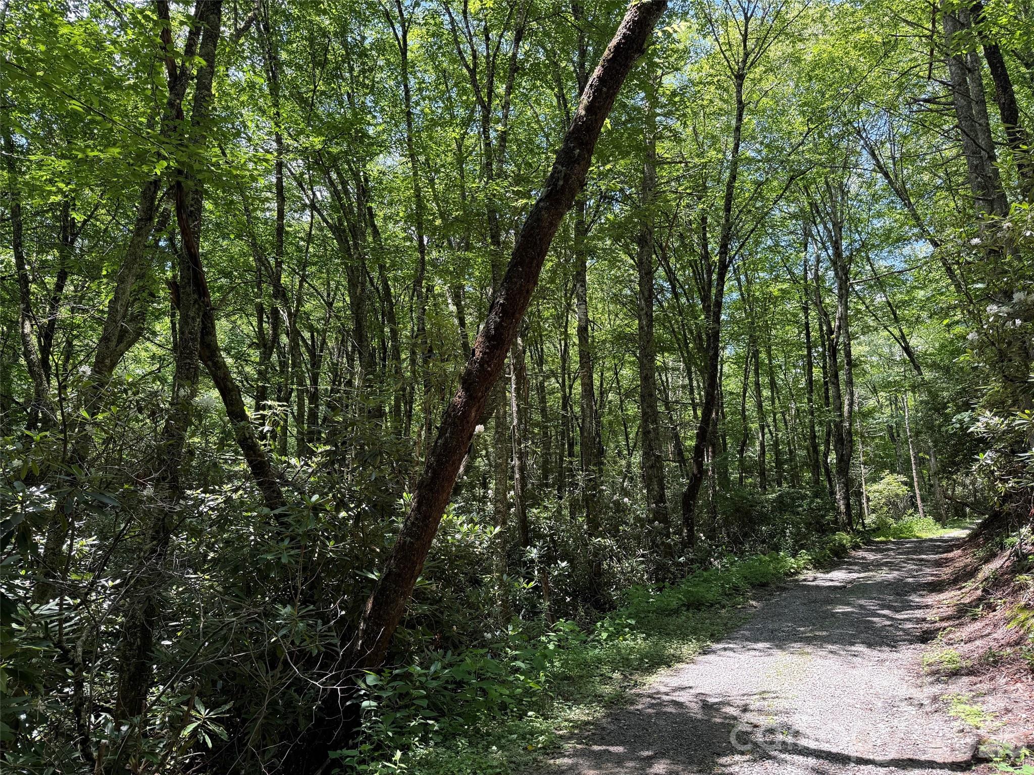 Lot at Lot #67 Spring Drive, Maggie Valley, photo 9 of 13