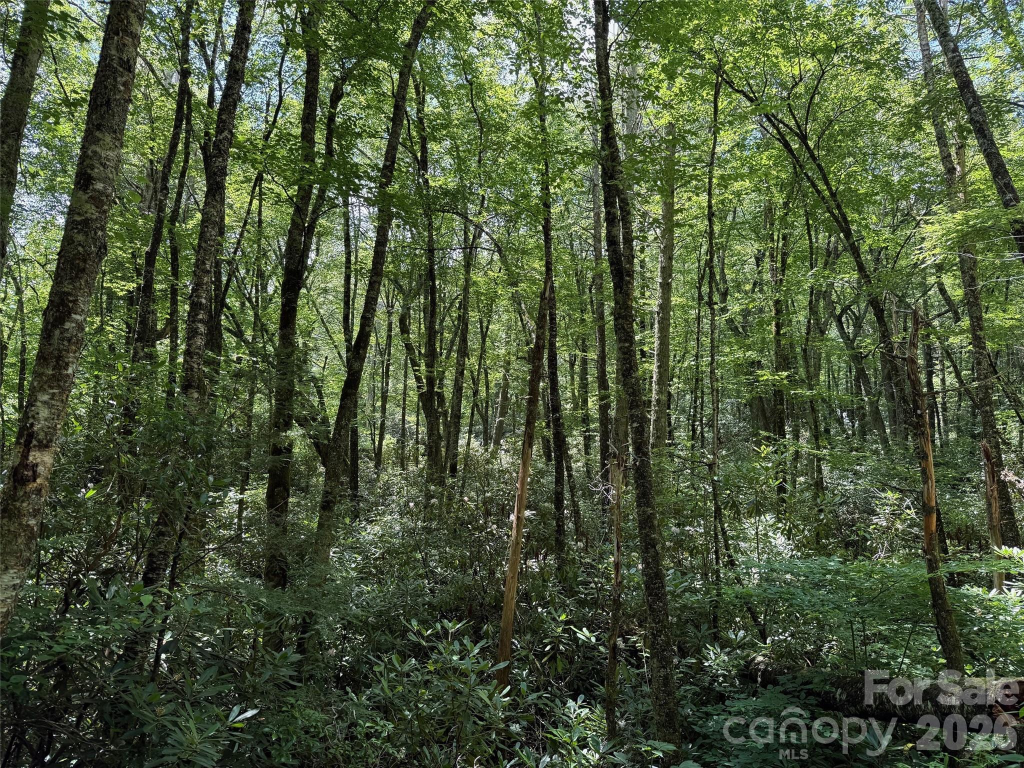 Lot at Lot #67 Spring Drive, Maggie Valley, photo 10 of 13